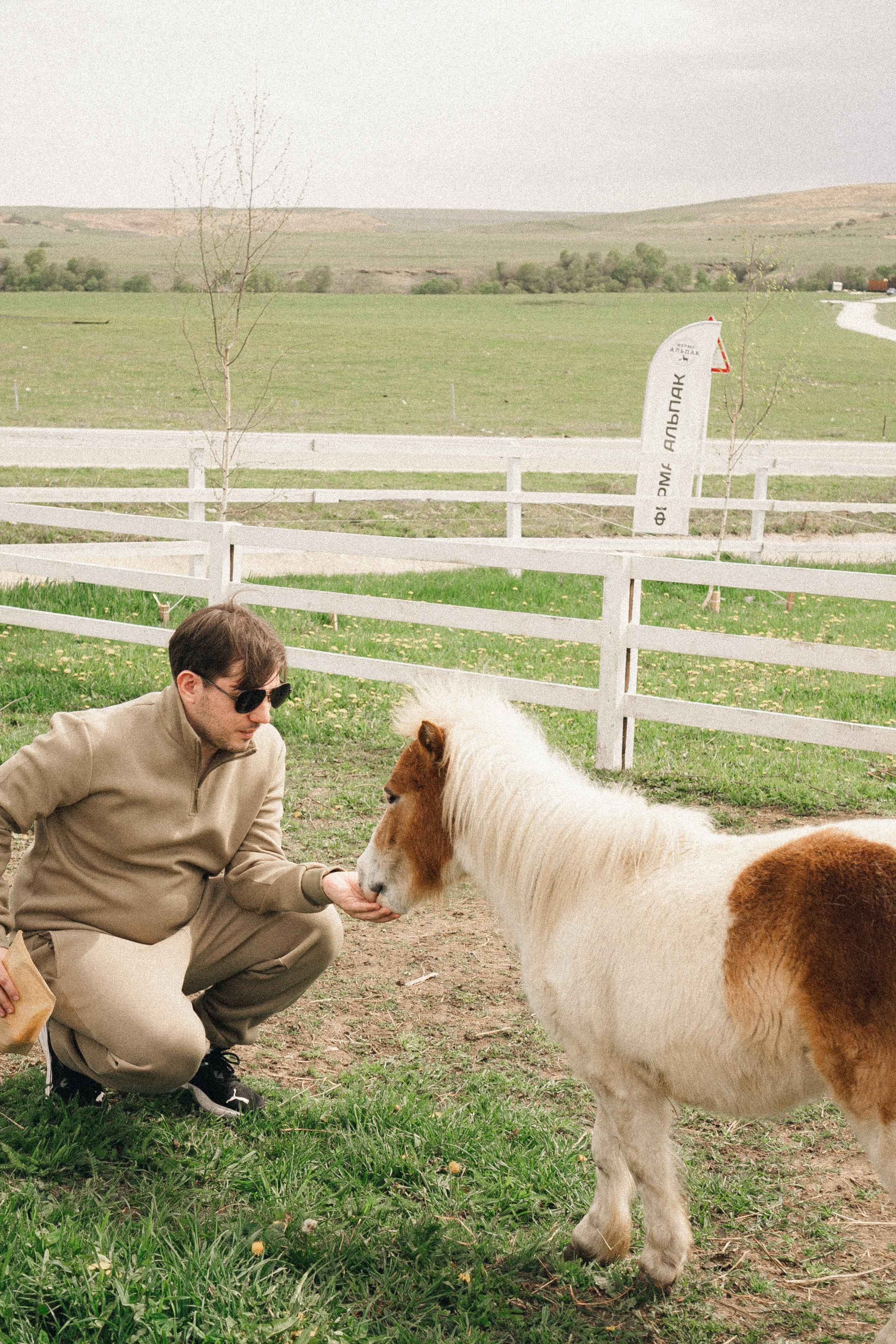 Ферма Альпак. Профессиональный фотограф, Санкт-Петербург — Виктория Богомолова