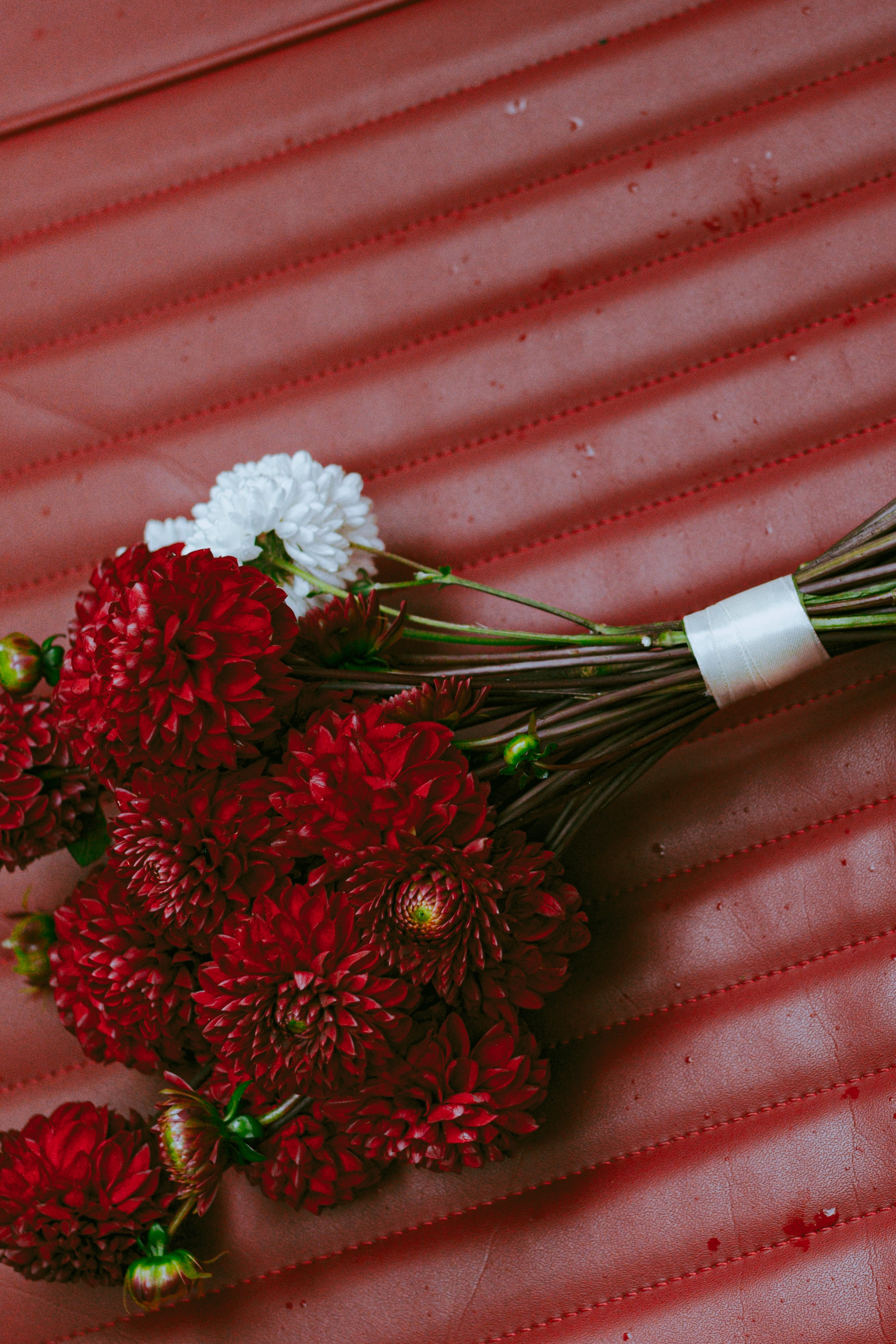 Фотограф Ирина Романова