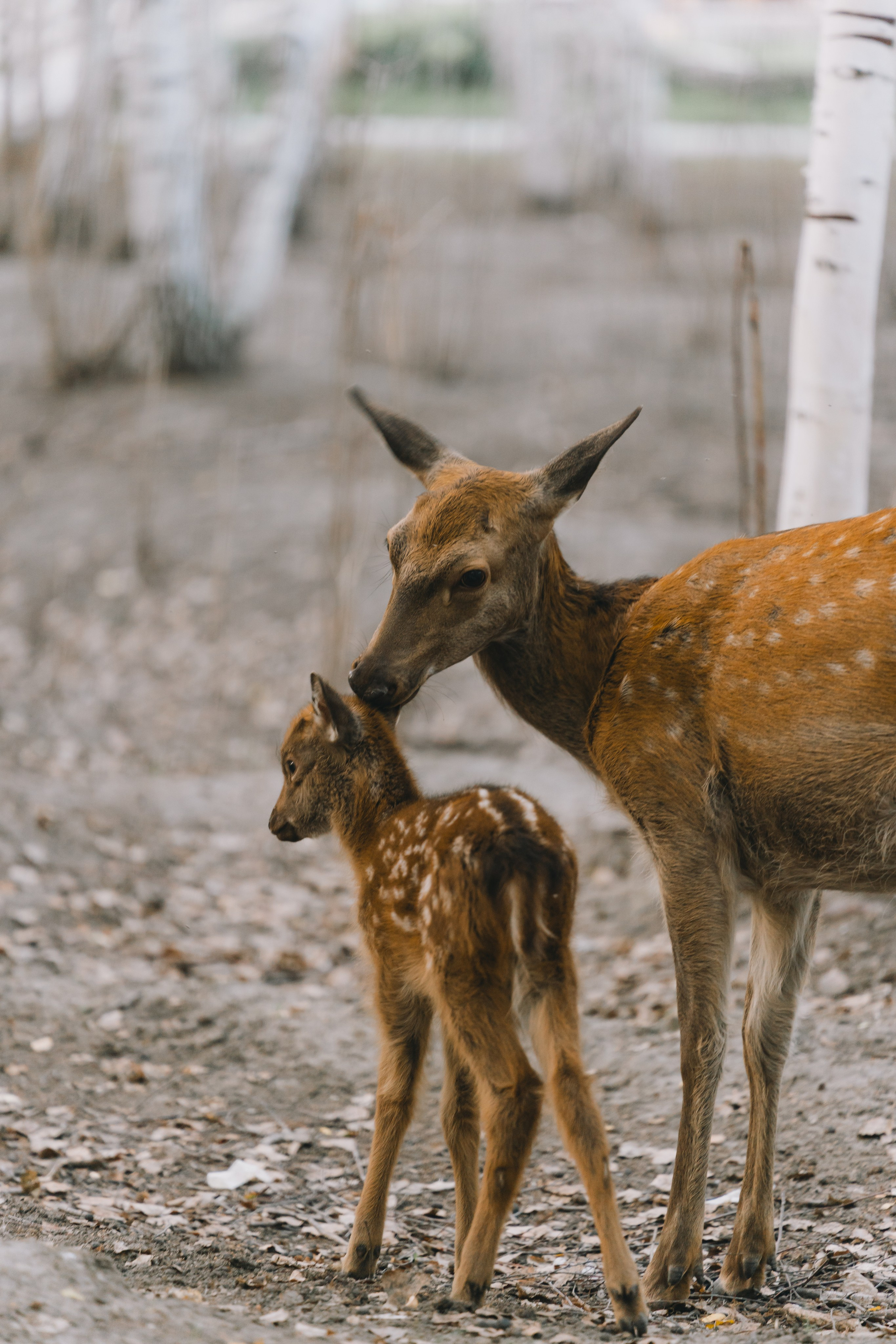 Усть-Каменогорск, Сентябрь 2024