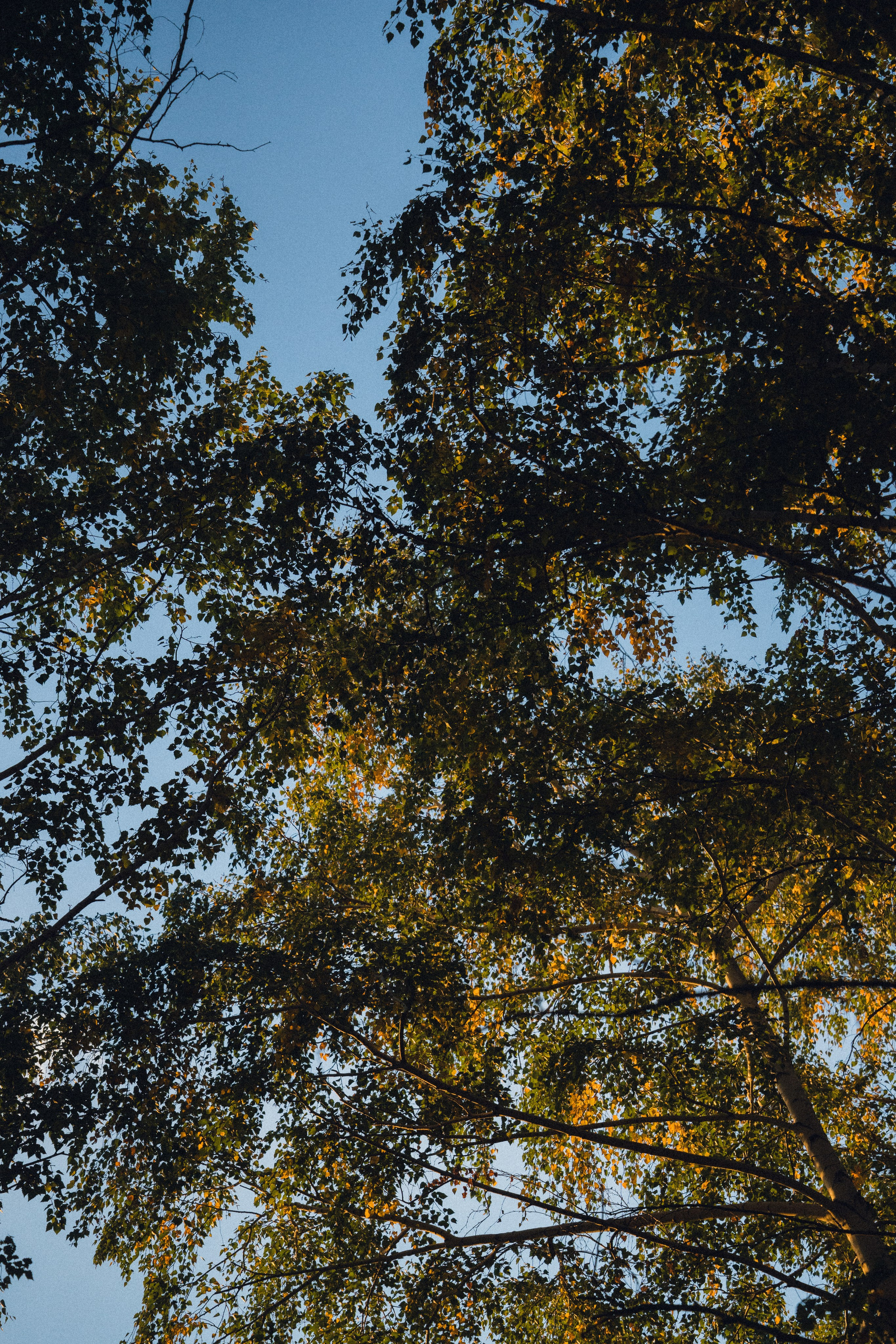 Усть-Каменогорск, Сентябрь 2024