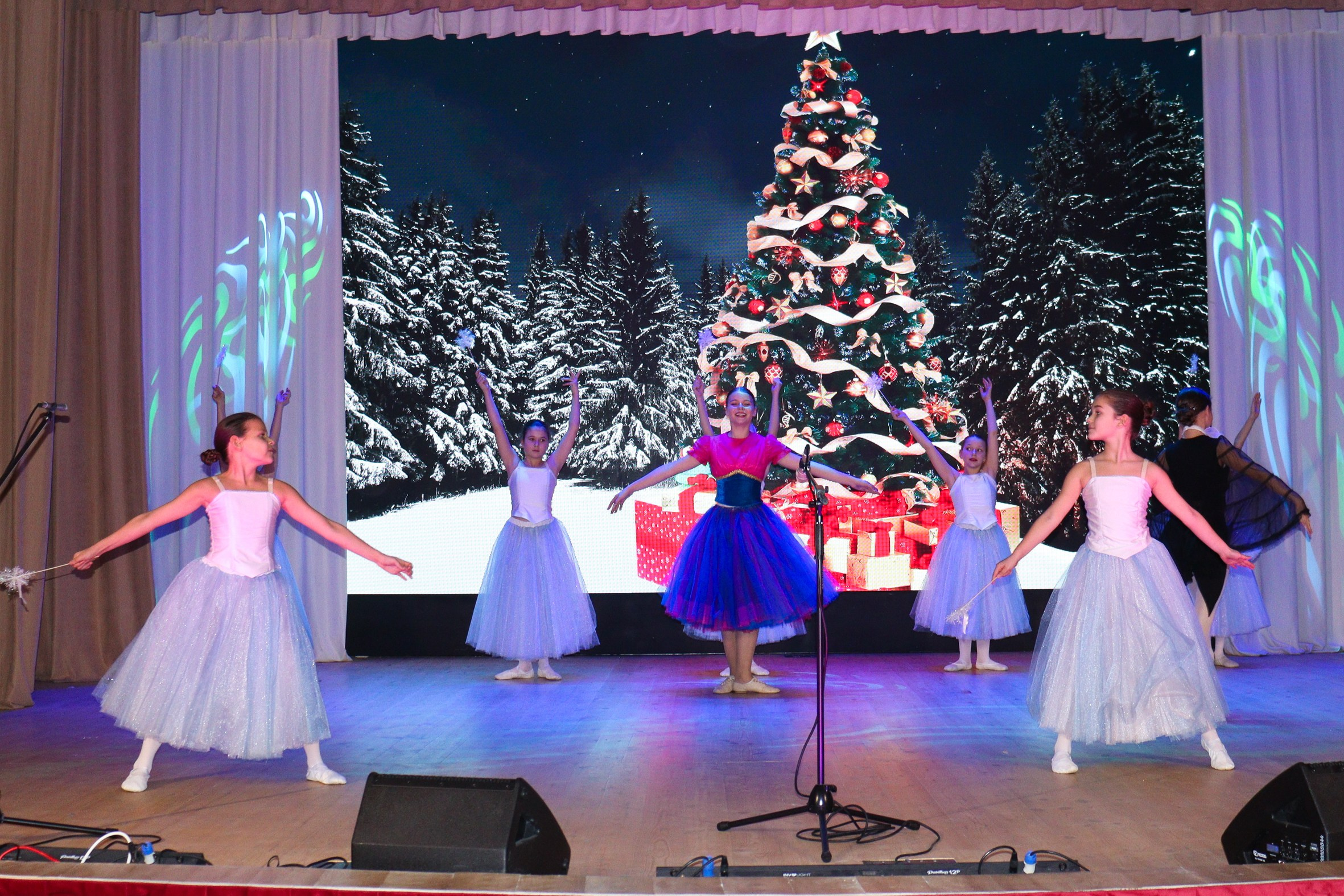 Новогодний концерт Шишли-Мышли