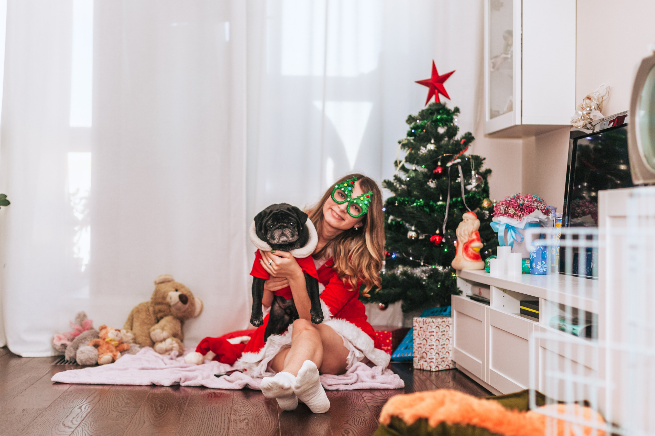 Домашняя фотосессия Оли и двух ее мопсов. Фотограф-анималист Татьяна Степанова