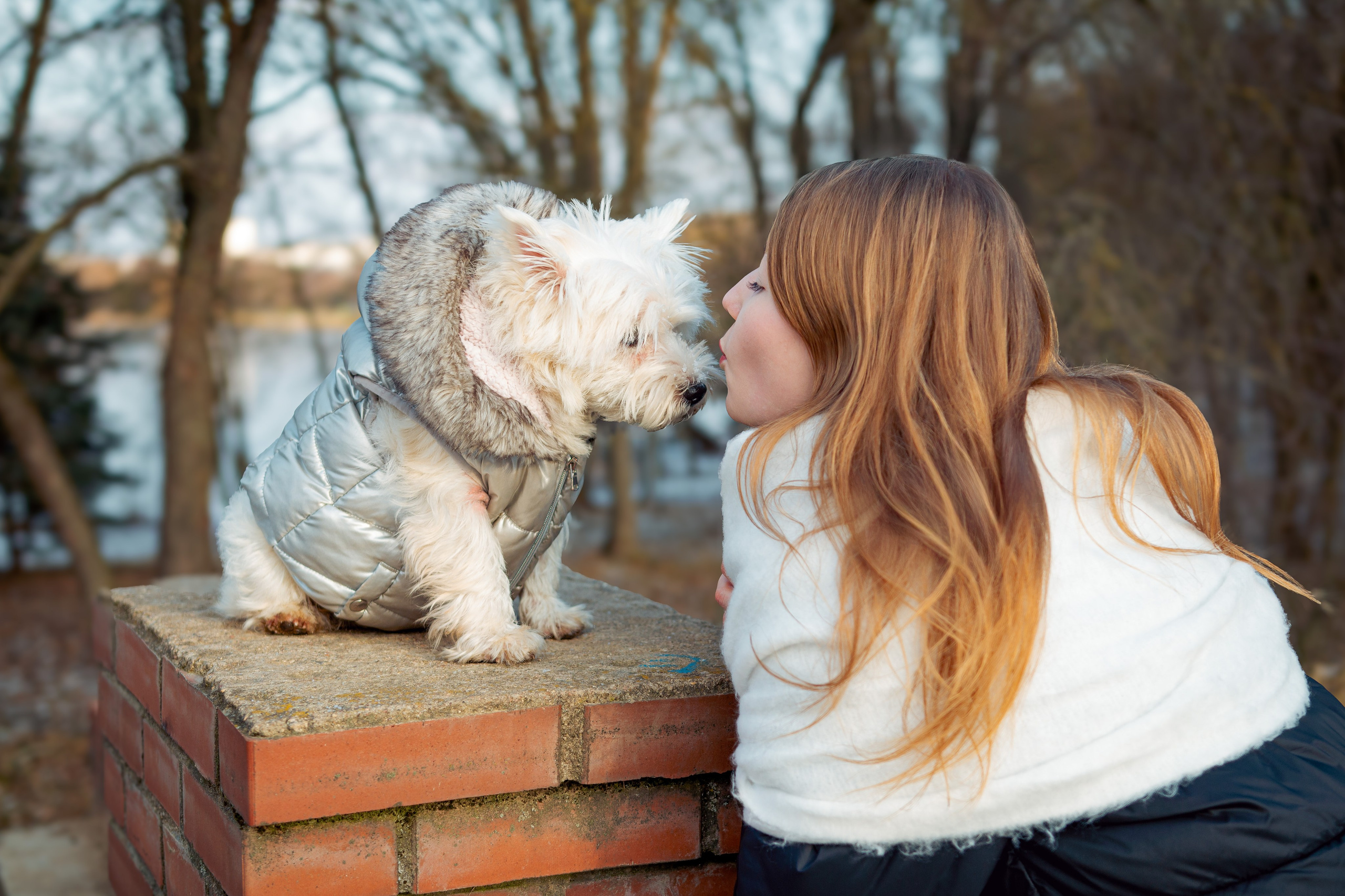 Фотосессия с щенком Минск
