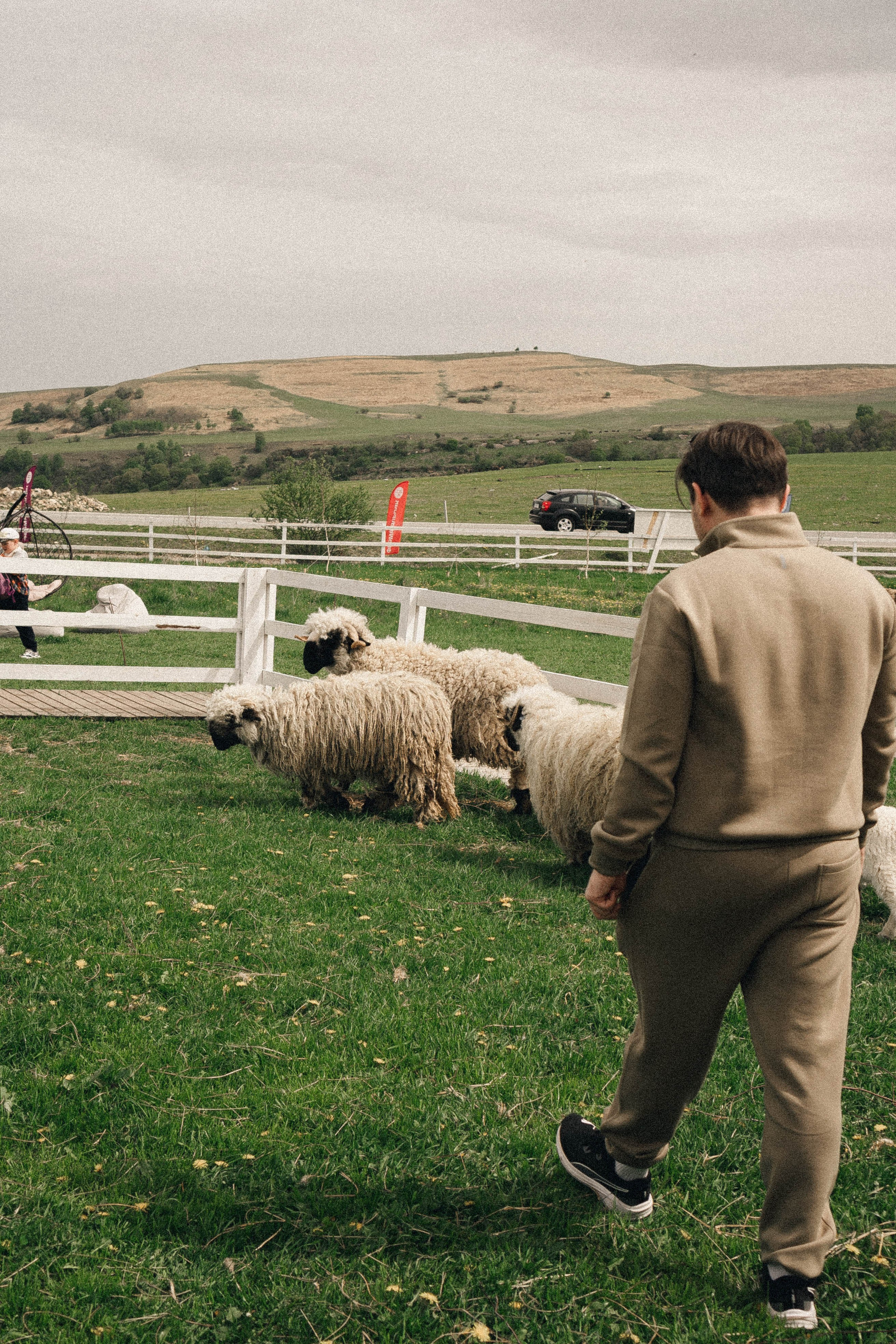 Ферма Альпак. Профессиональный фотограф, Санкт-Петербург — Виктория Богомолова