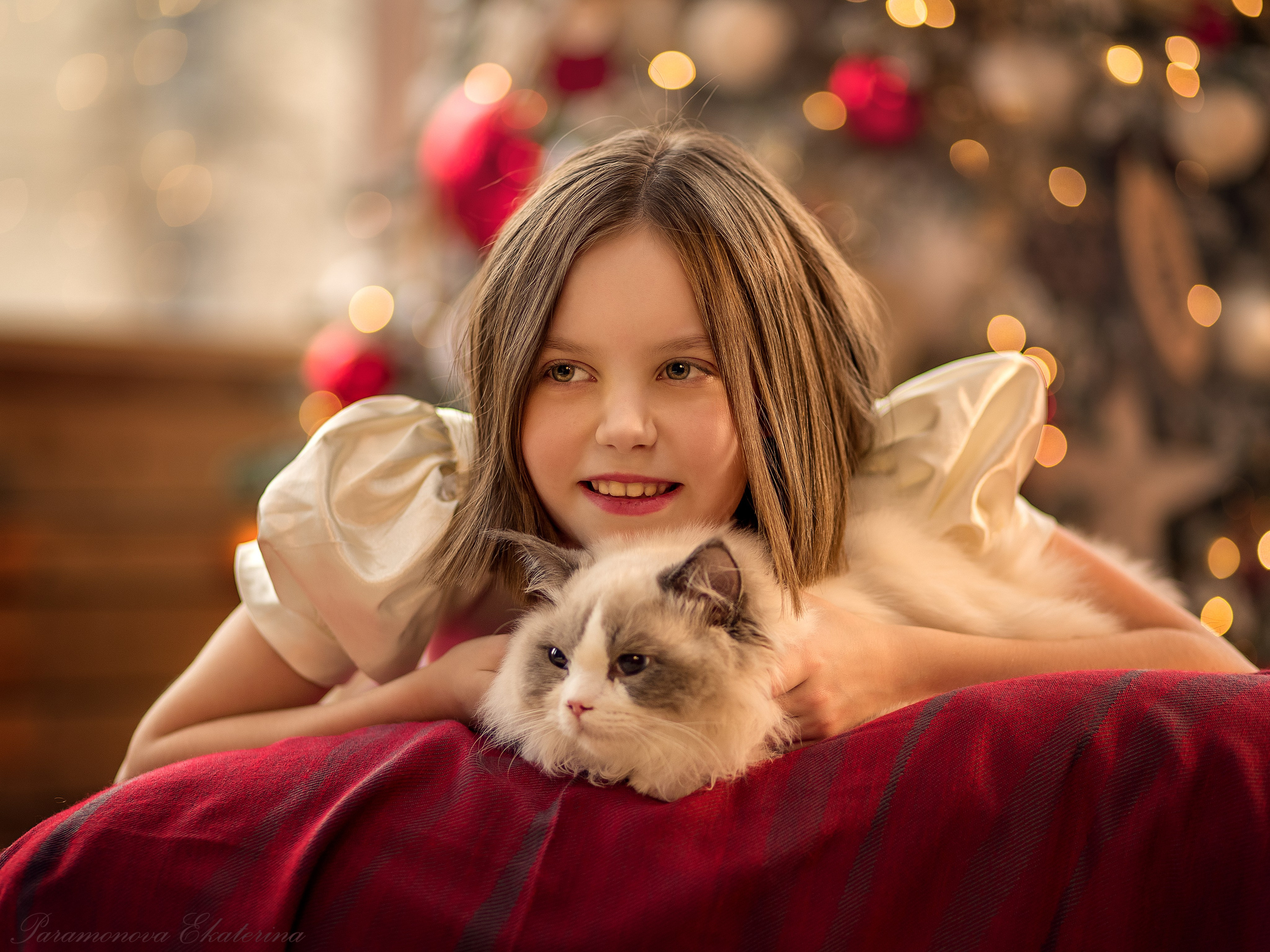Новогодние котики. Семейный и детский фотограф В Москве Парамонова Екатерина