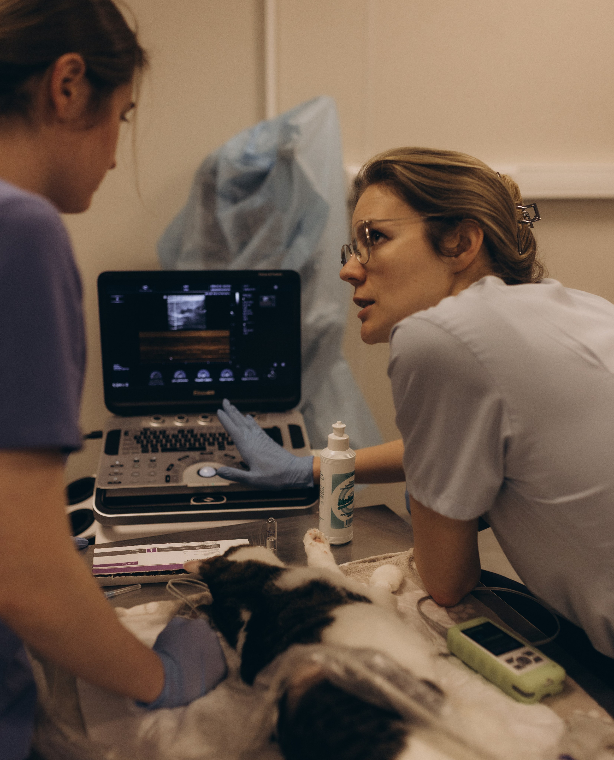 VetLife. Татьяна Афонина | Фотограф