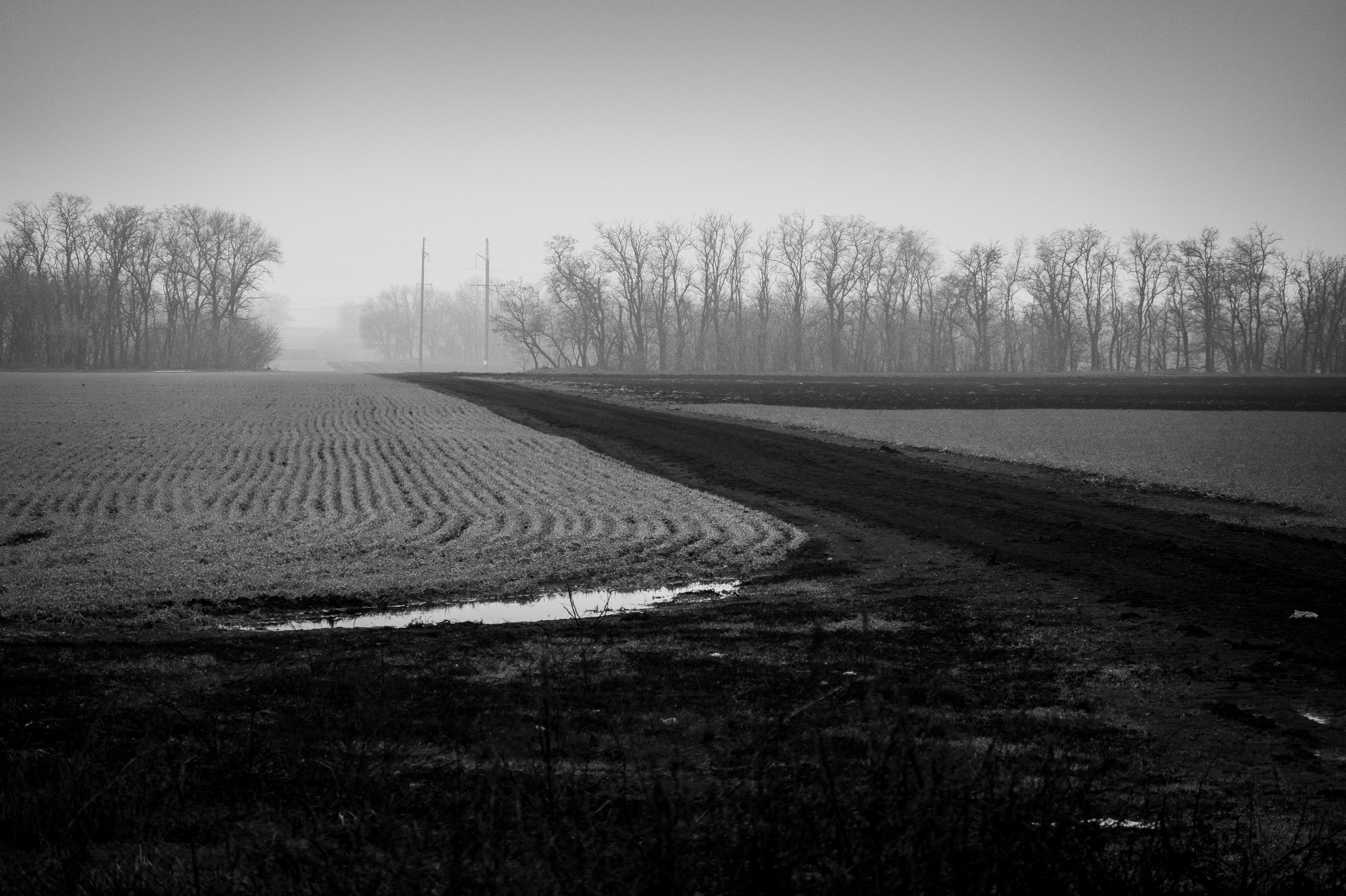 Деревня / Юг. Фотограф Антон Денисенко: Портрет, Документалистика, Пейзаж. Москва