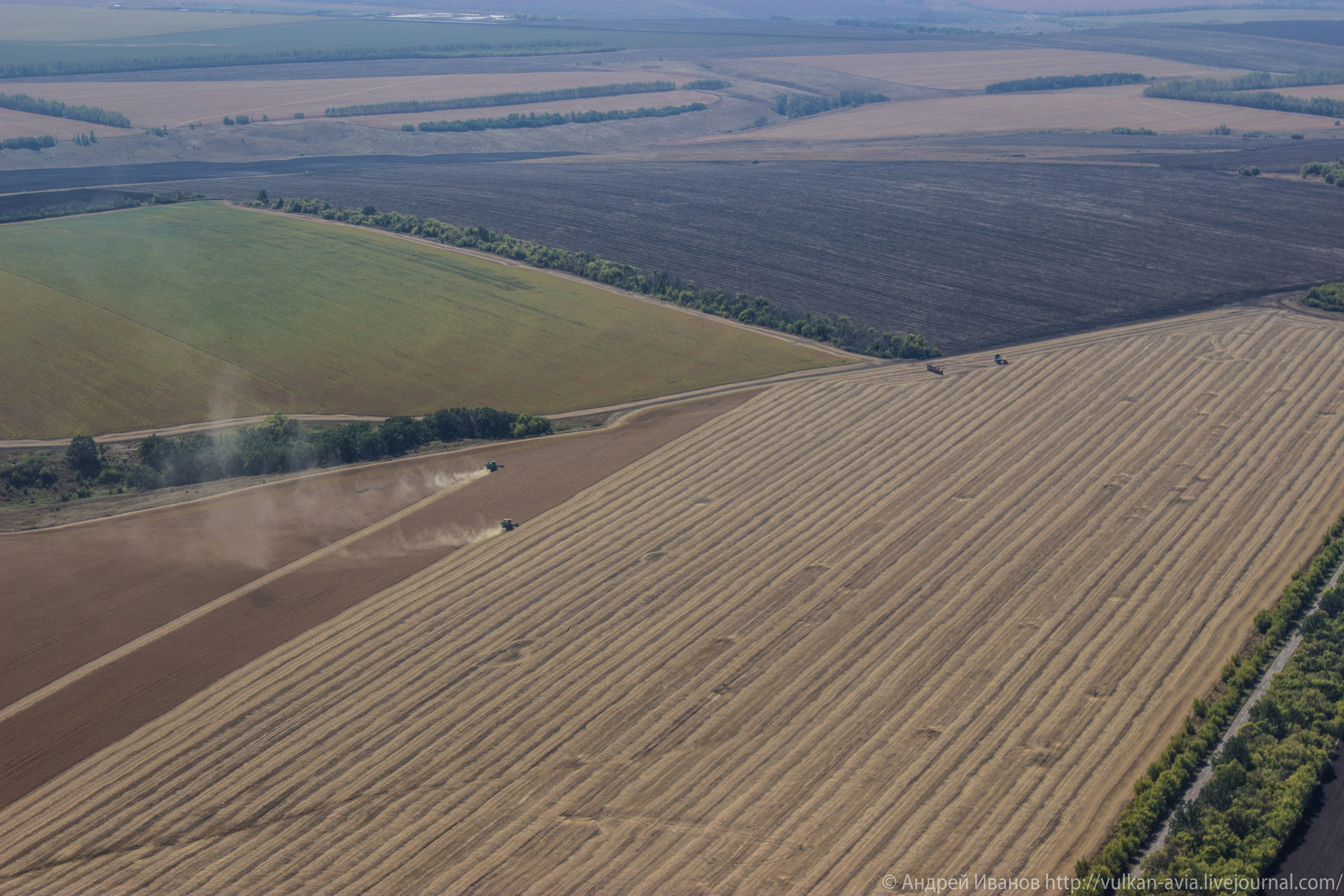 Волгодонск аэр. Потапов слёт «Небо для всех» (2021 г.). Фотоальбом показывающий увлекательный мир авиации и мир медведей Андрея Иванова