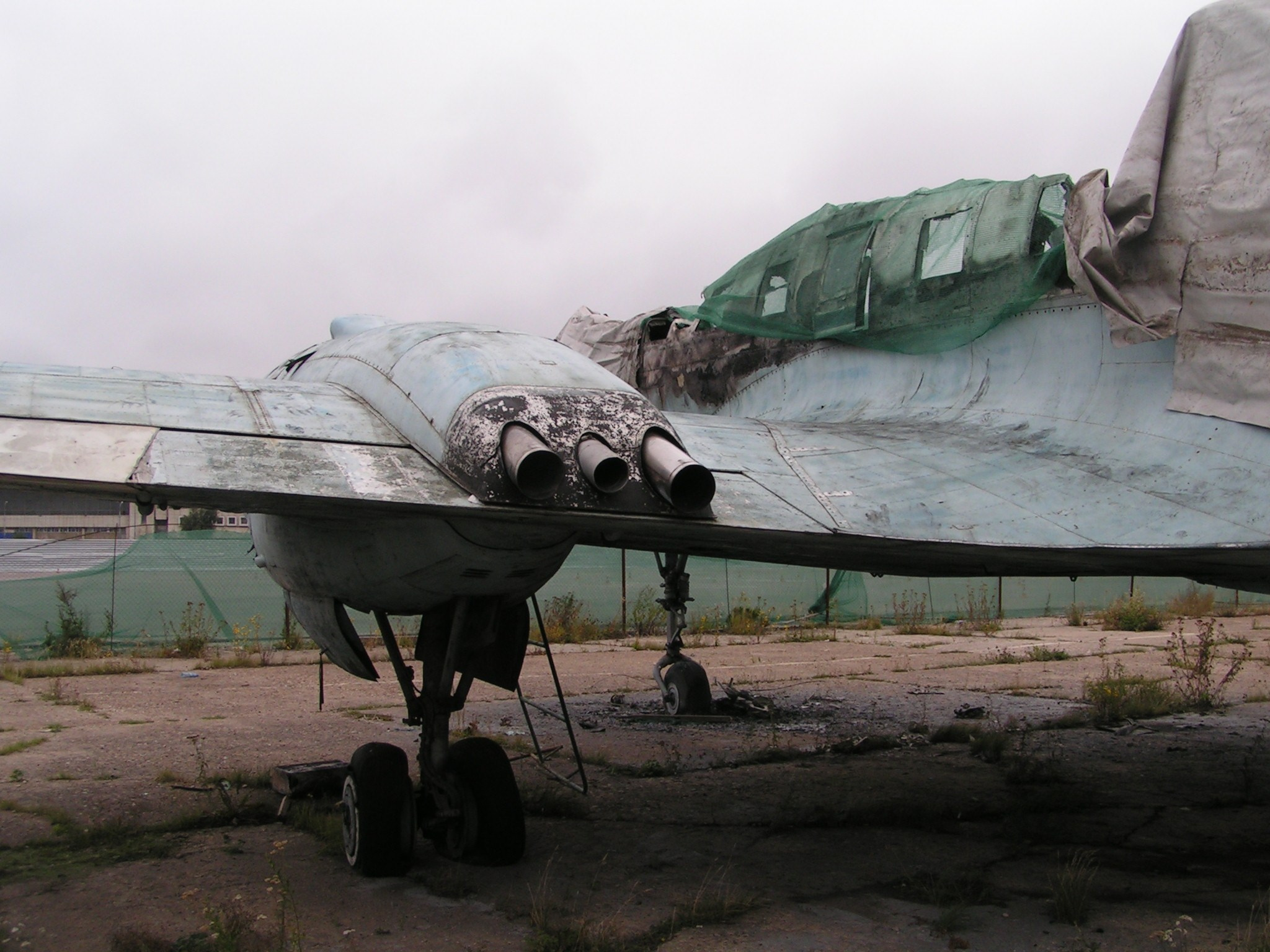 Ил-14 (Ходынка) — уничтожен. Фотоальбом показывающий увлекательный мир авиации и мир медведей Андрея Иванова