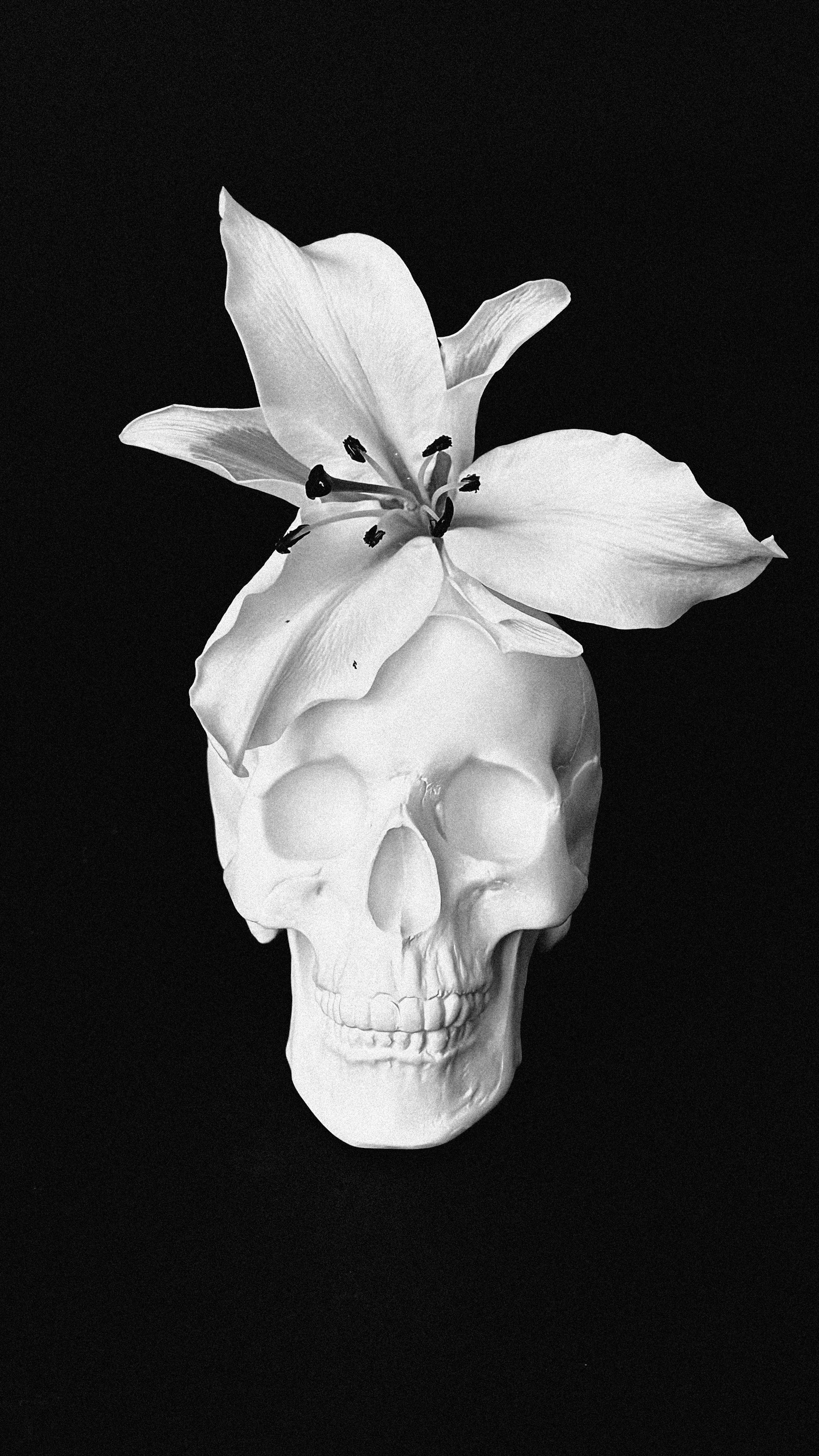 Семейный и ивент фотограф в Москве Мария Маликова