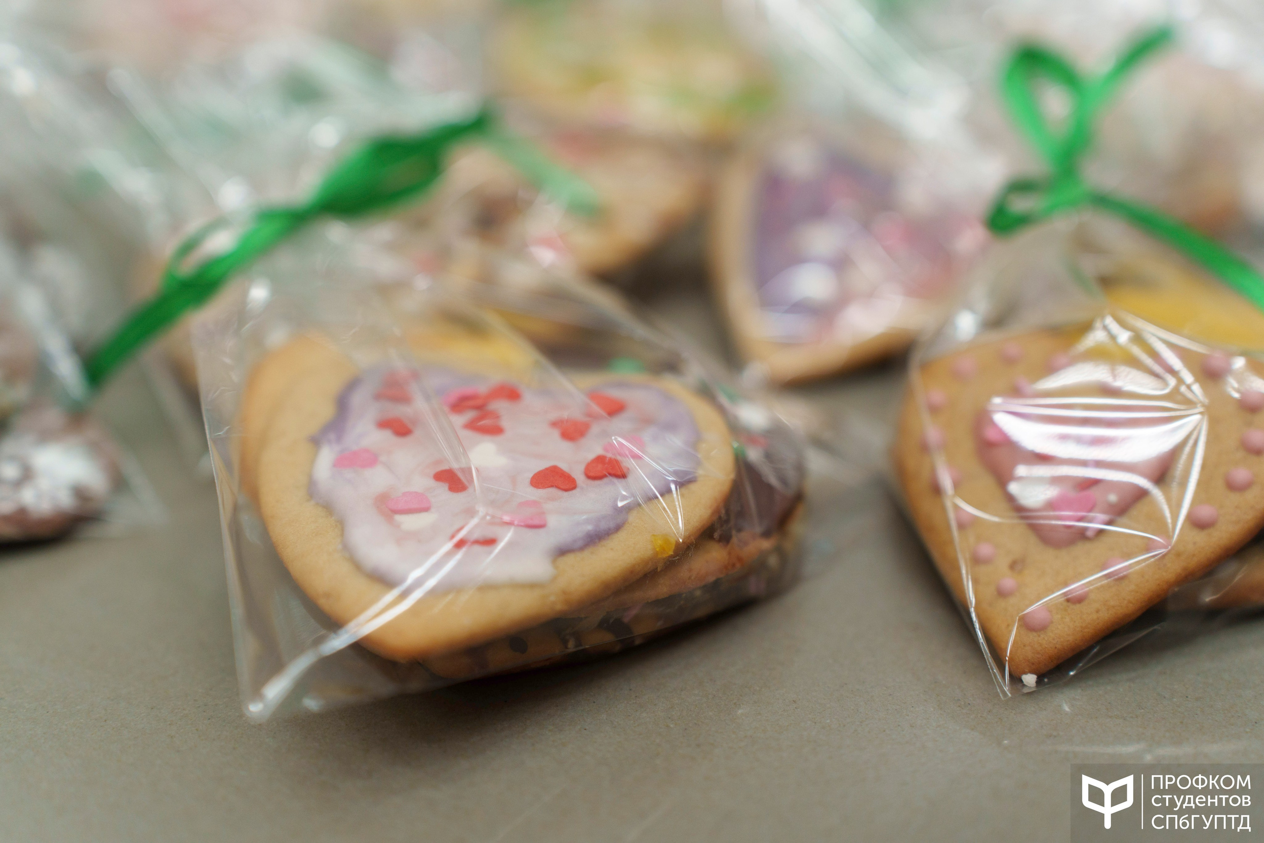 Новогодняя ярмарка 2024. Фотограф в Санкт-Петербурге Ибрагимова Алина