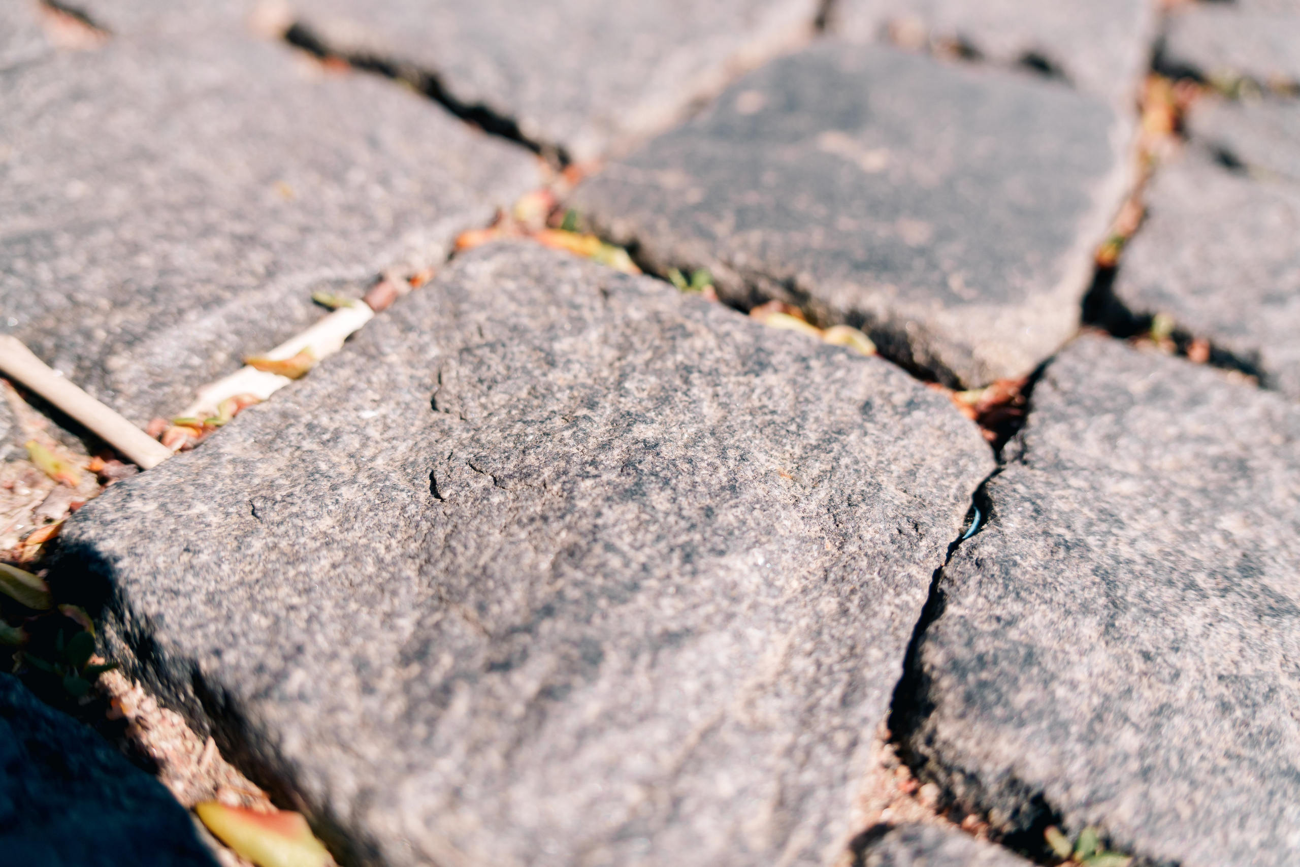 Первый чемпионат мира по геологии 2025, экскурсия. Фотограф в Санкт-Петербурге Ибрагимова Алина