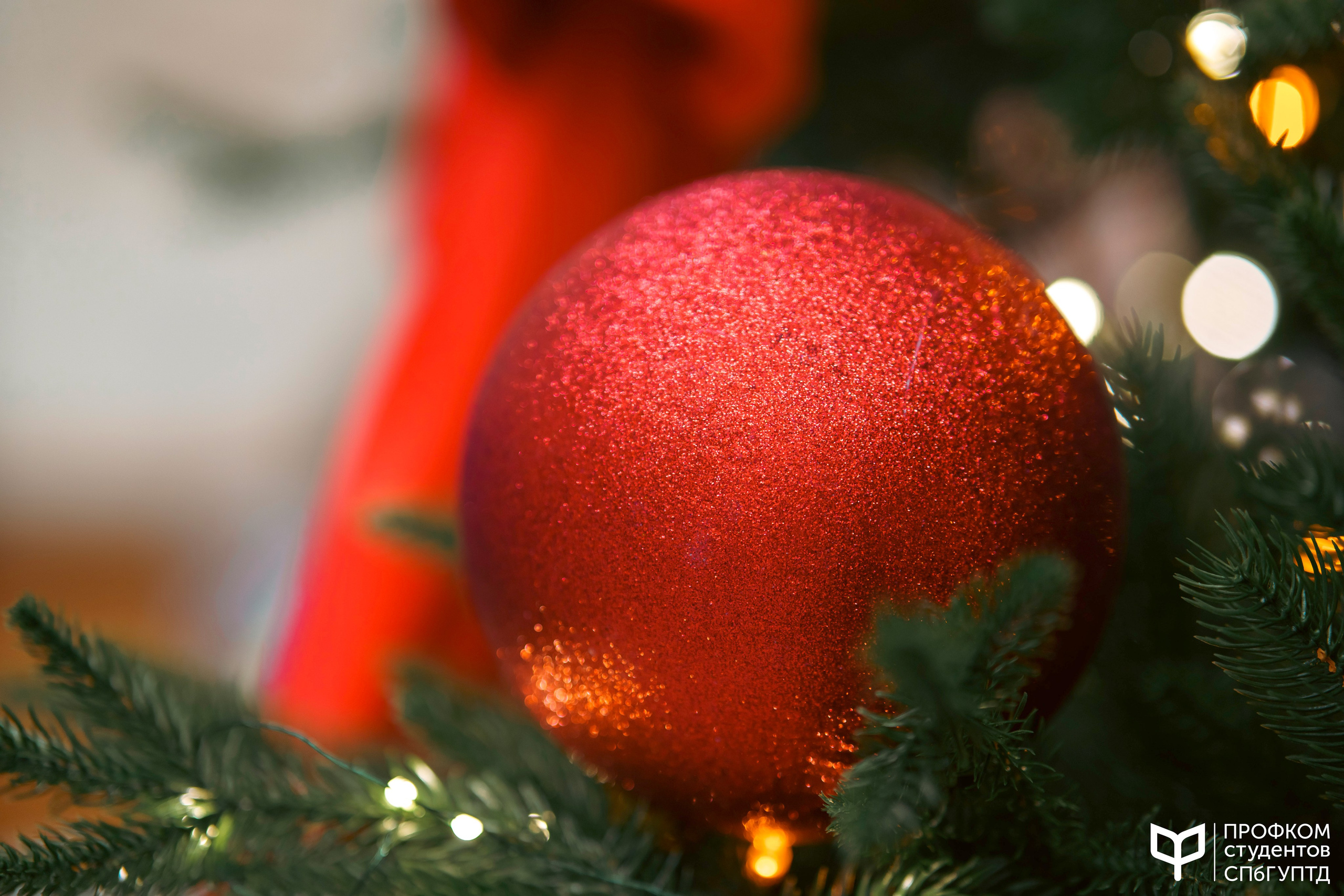 Новогодняя ярмарка 2024. Фотограф в Санкт-Петербурге Ибрагимова Алина