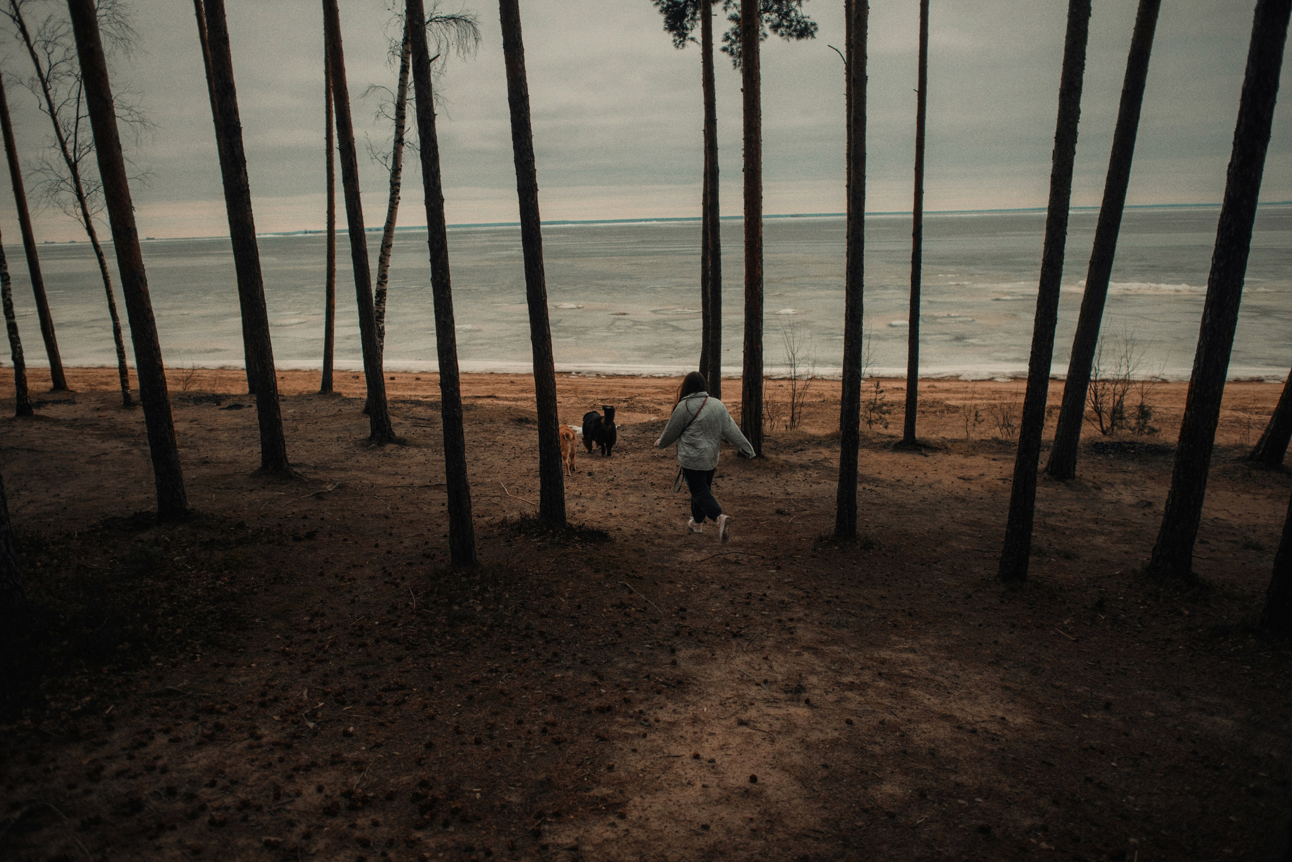 Прогулка: берн Пума, Фрэнк и Юля в Питере. Портфолио