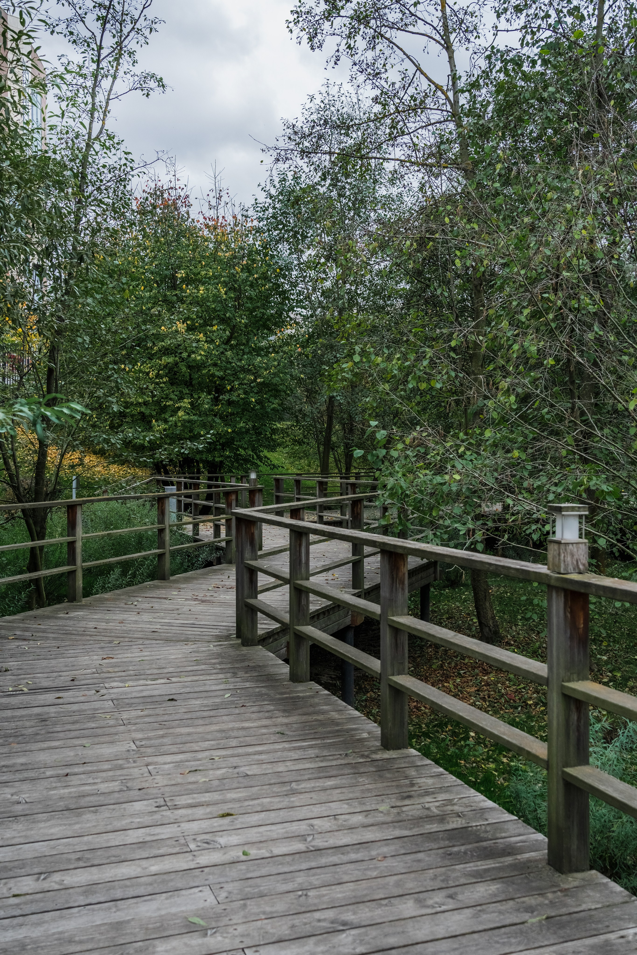 Skolkovo Park. Артамонов Александр | Архитектурный и ландшафтный фотограф