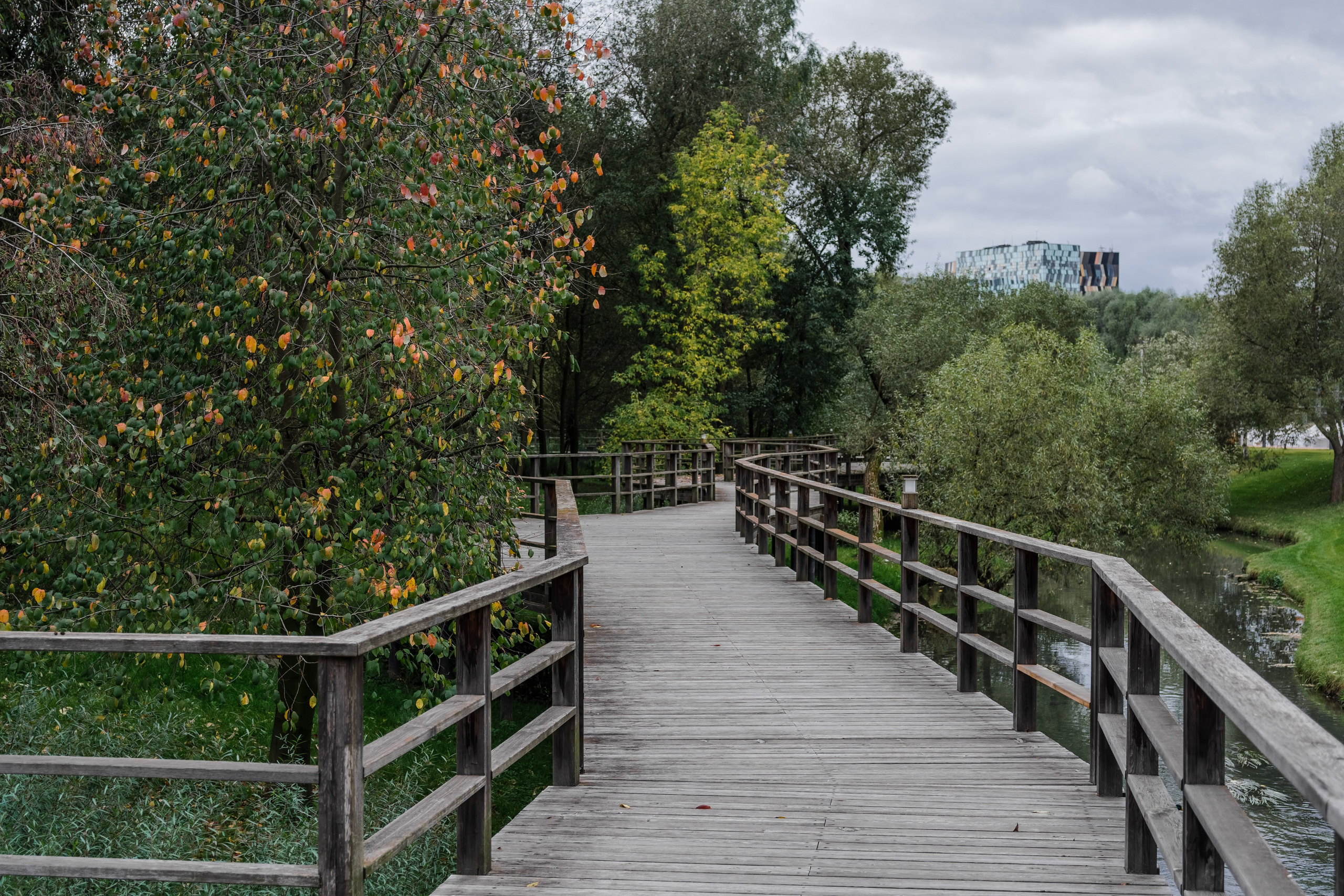 Skolkovo Park. Артамонов Александр | Архитектурный и ландшафтный фотограф