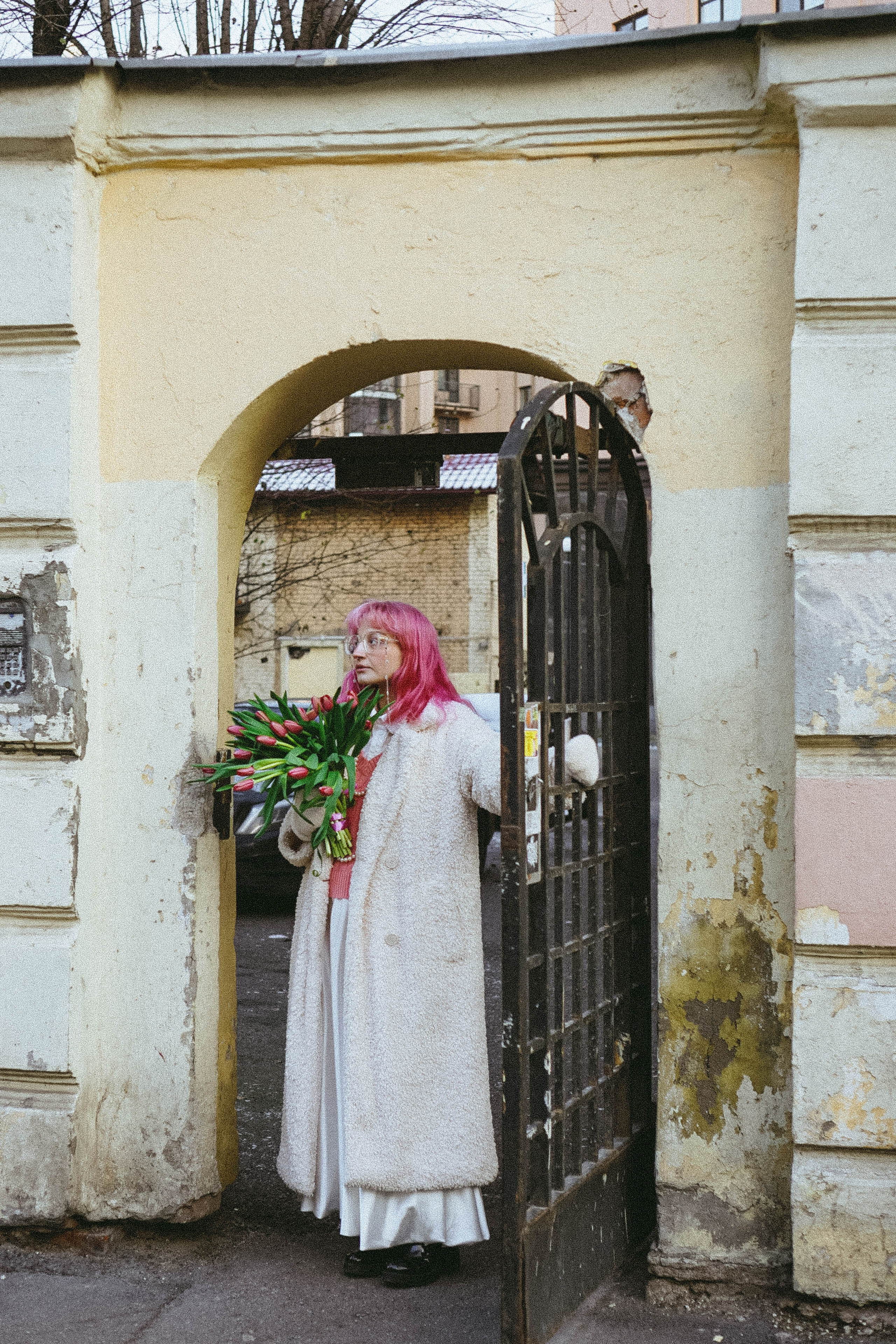 Тюльпаны. Профессиональный фотограф, Санкт-Петербург — Виктория Богомолова