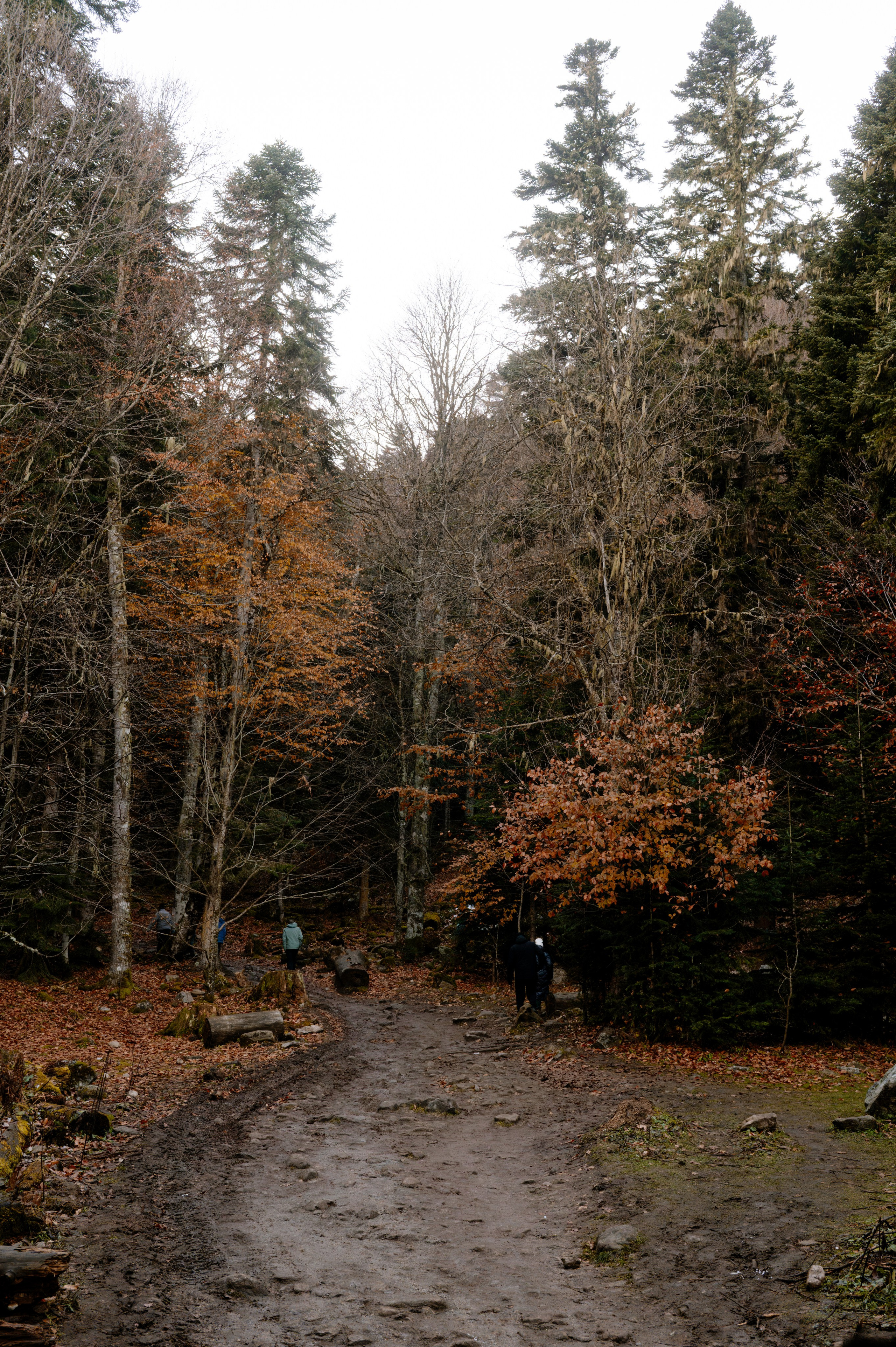 Funk and Beats. Архыз 24. Сайт фотографа Данилы Пащенко