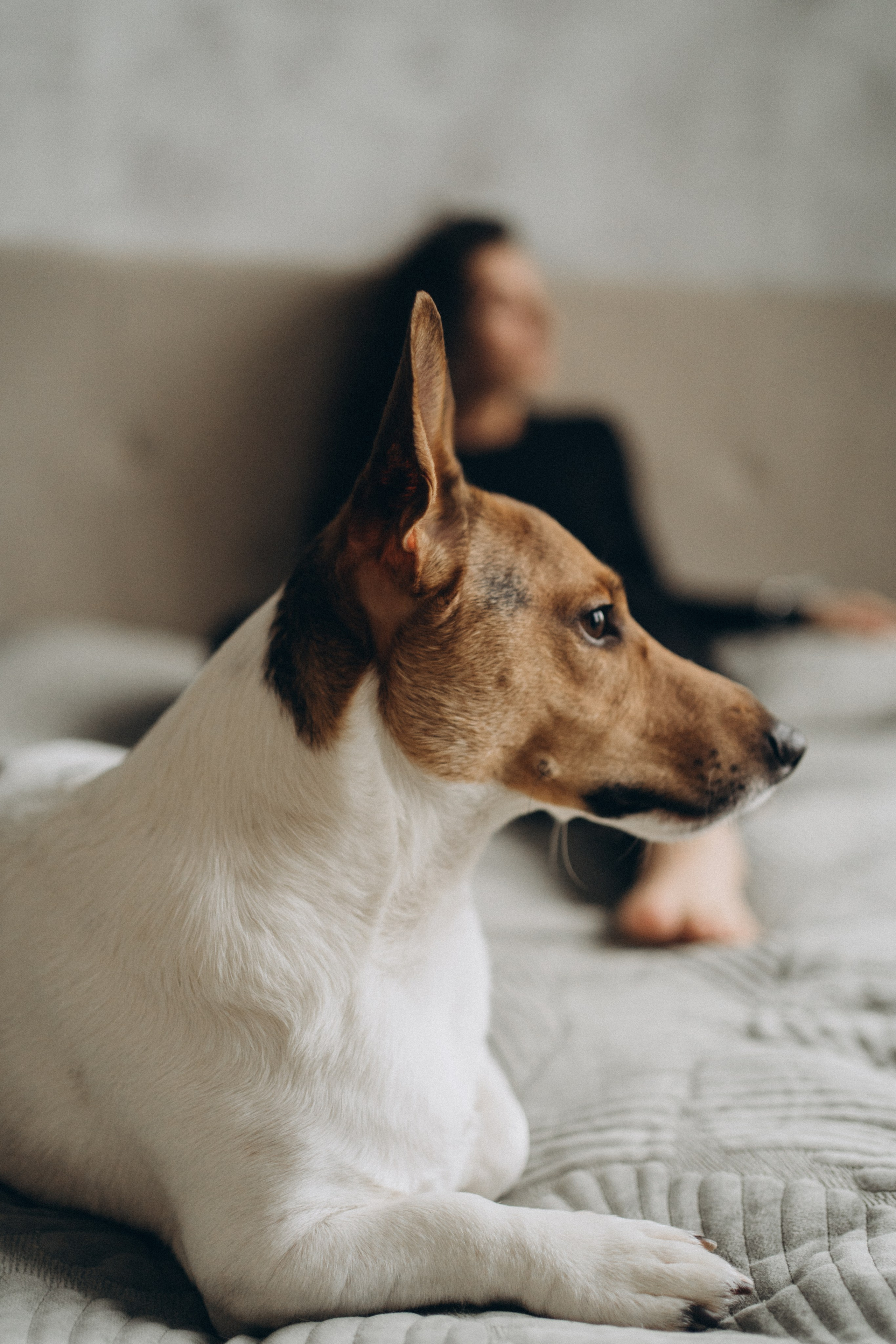 🐾. Семейный фотограф Ариадна Мачульская | г. Тюмень