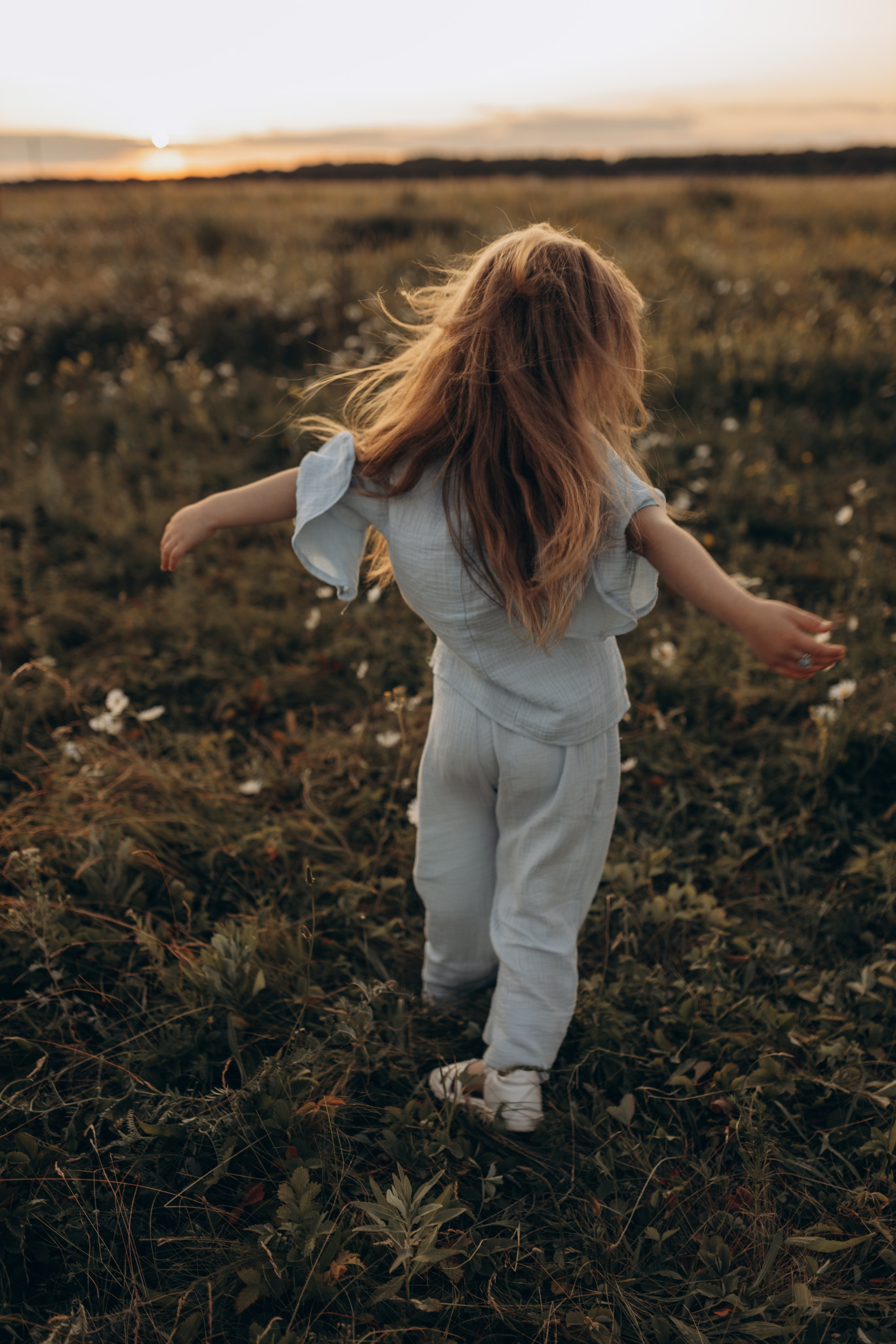 Закат на ромашковом поле. Фотограф в Ставрополе Svetlana Matveeva