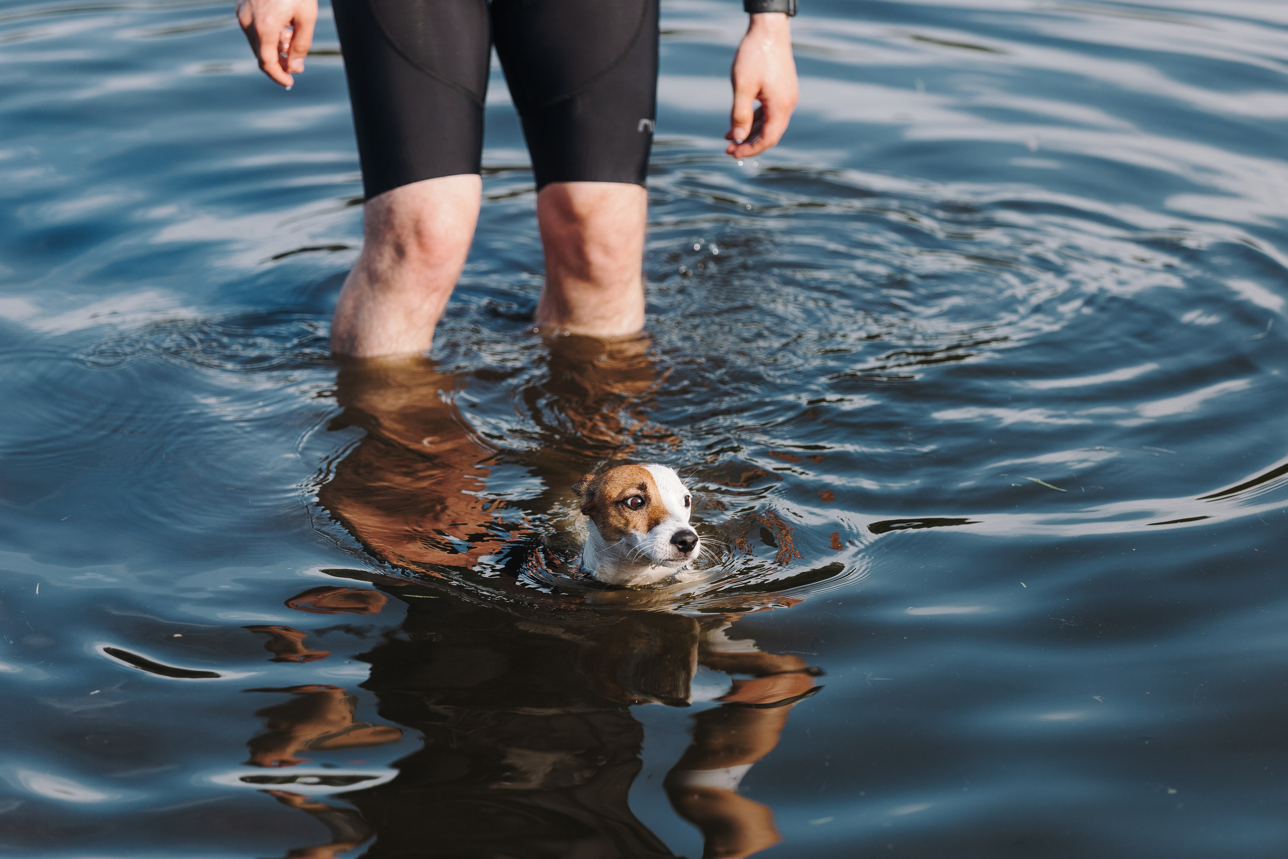 Petshop Sup day. Фотограф анималист Кристина Карпова, Москва