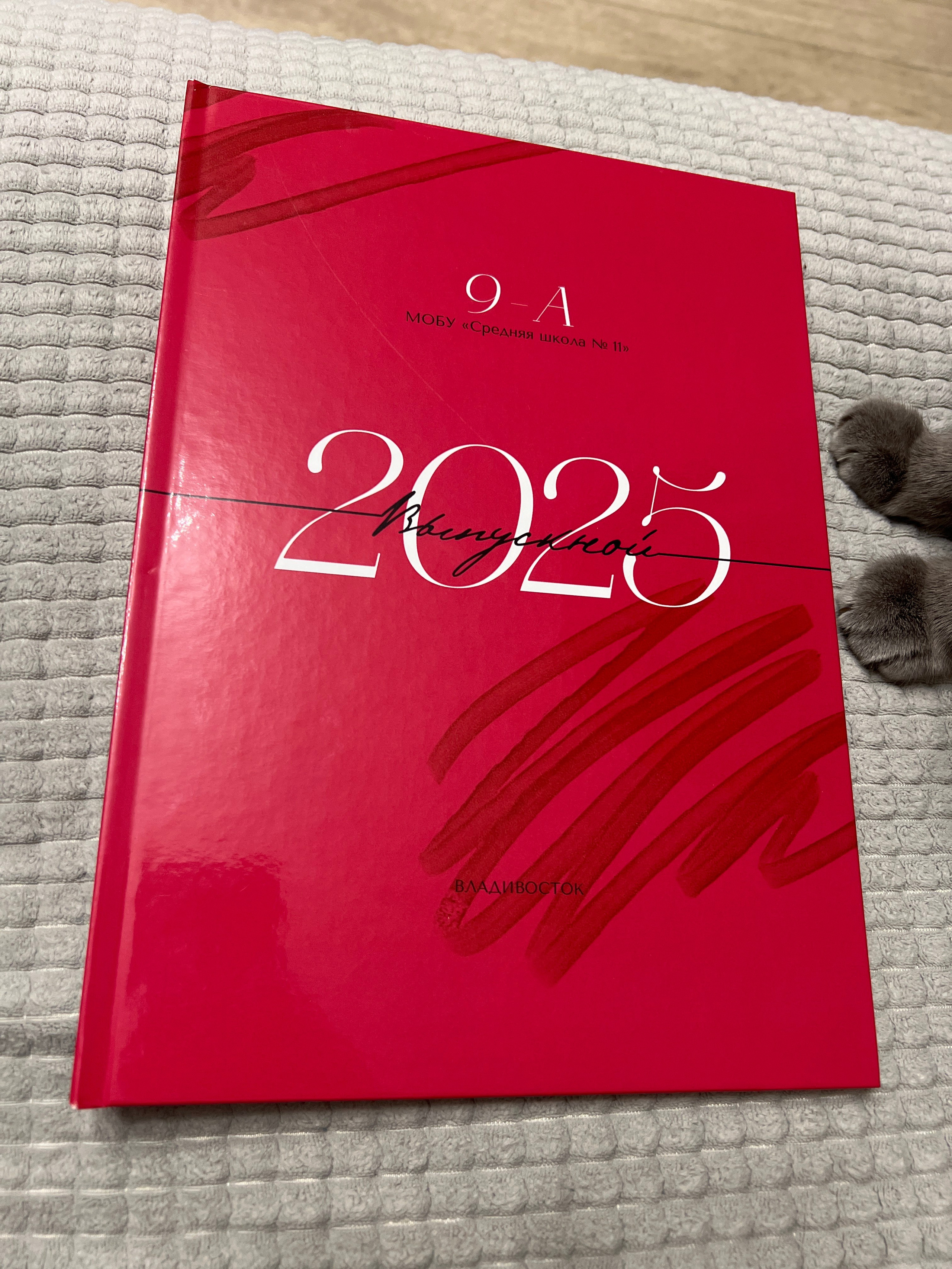 Отзывы на работу студии Арбуз