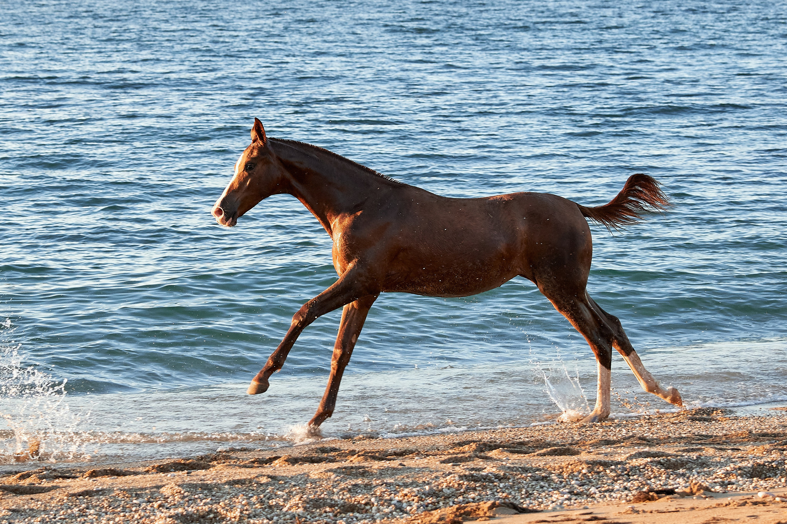 Галактика и Кассиопея. Фотограф в Севастополе
