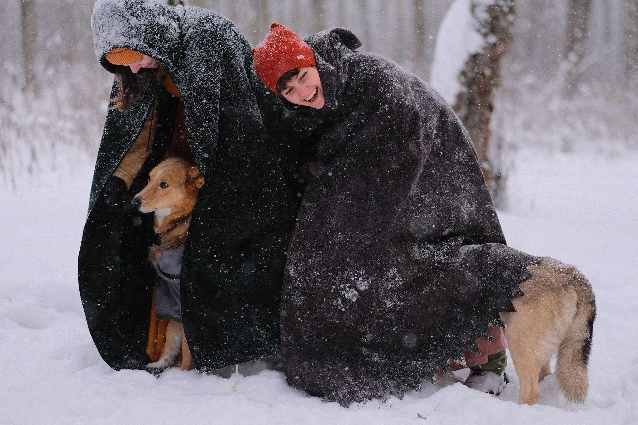 Герда, Лиса и их люди. Дмитрий Бречалов