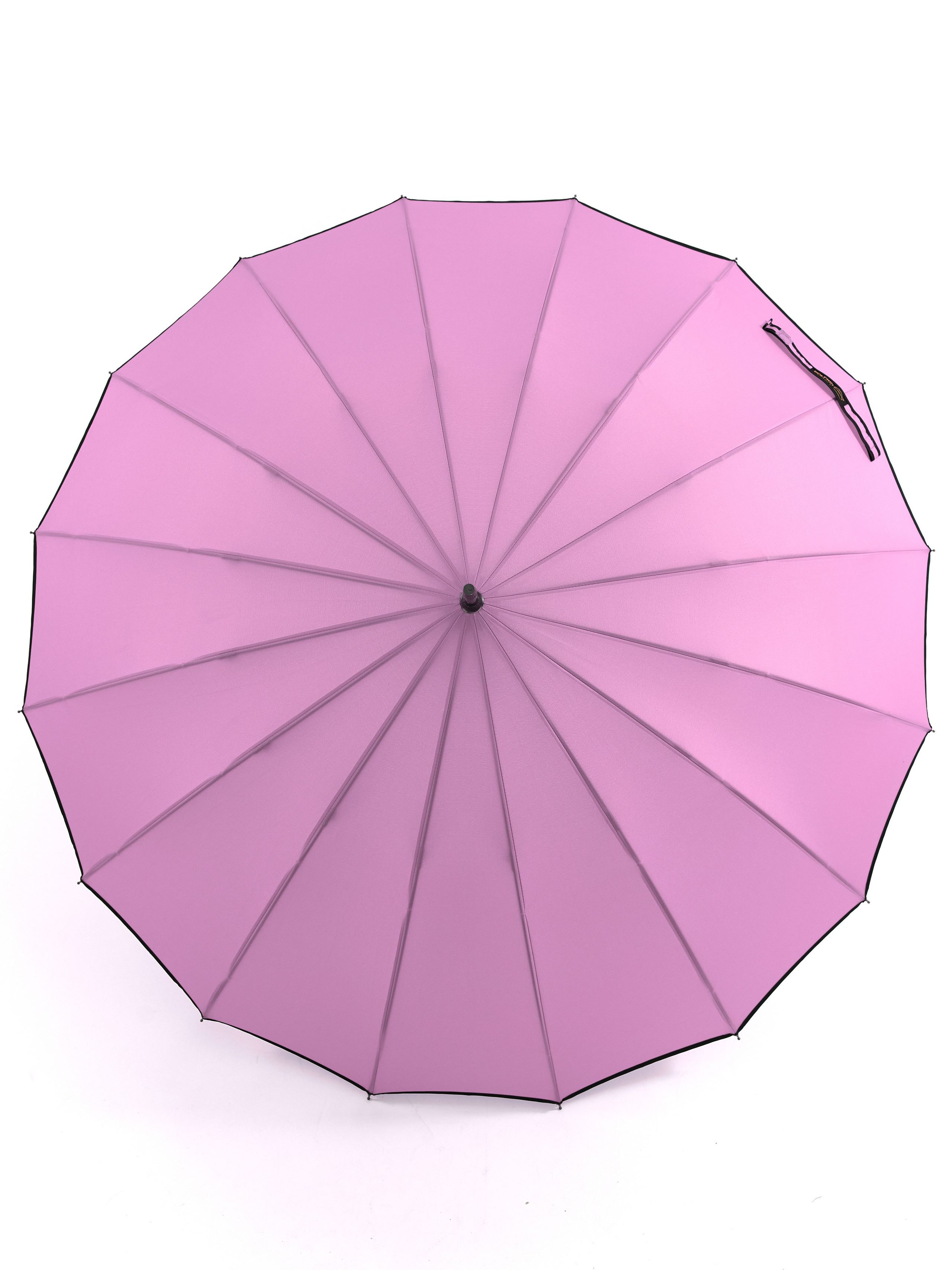 Dolphin. Zubkov Jan Hochzeitsfotograf Deutschland