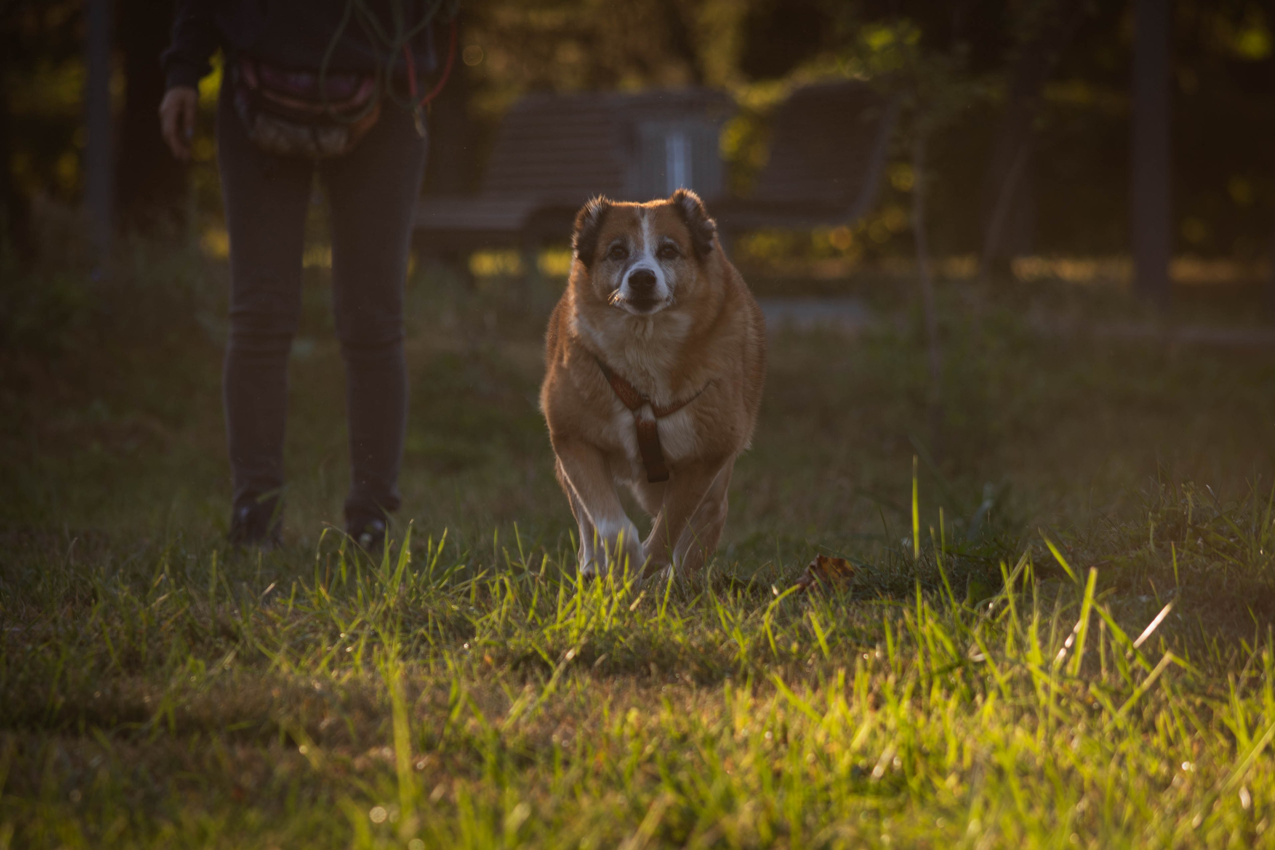 Ник и Полина. Фотограф Светлана Блинова, Москва и Московская область