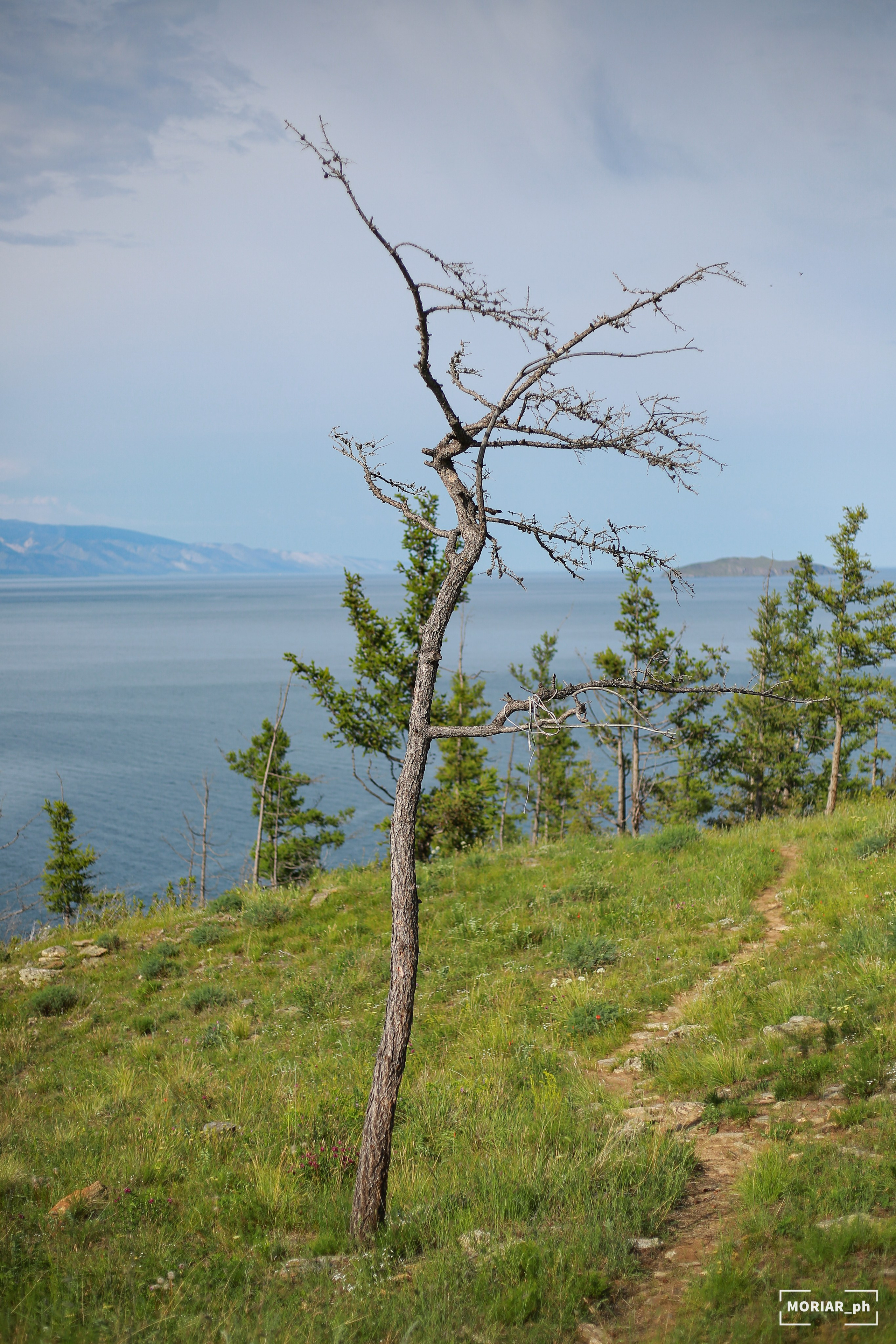 Отпуск. Портретный и репортажный фотограф в Кемерово Алексеева Анастасия