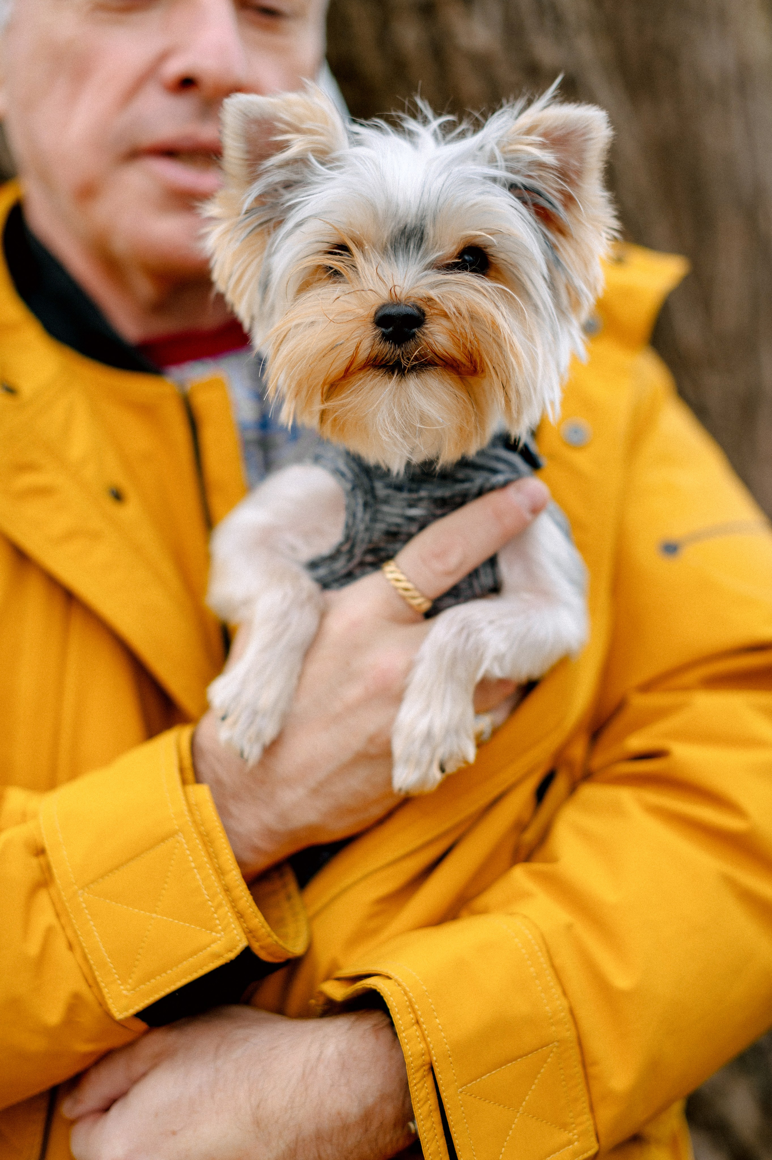 ОСЕННИЙ БОТСАД. Шашкова Вероника / Свадебный и семейный фотограф Москва и Ярославль