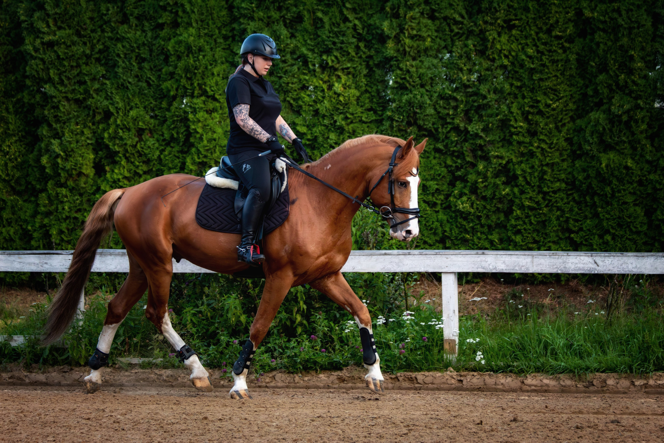 Таисия и Камелот. Фотограф анималист — Тула, Москва