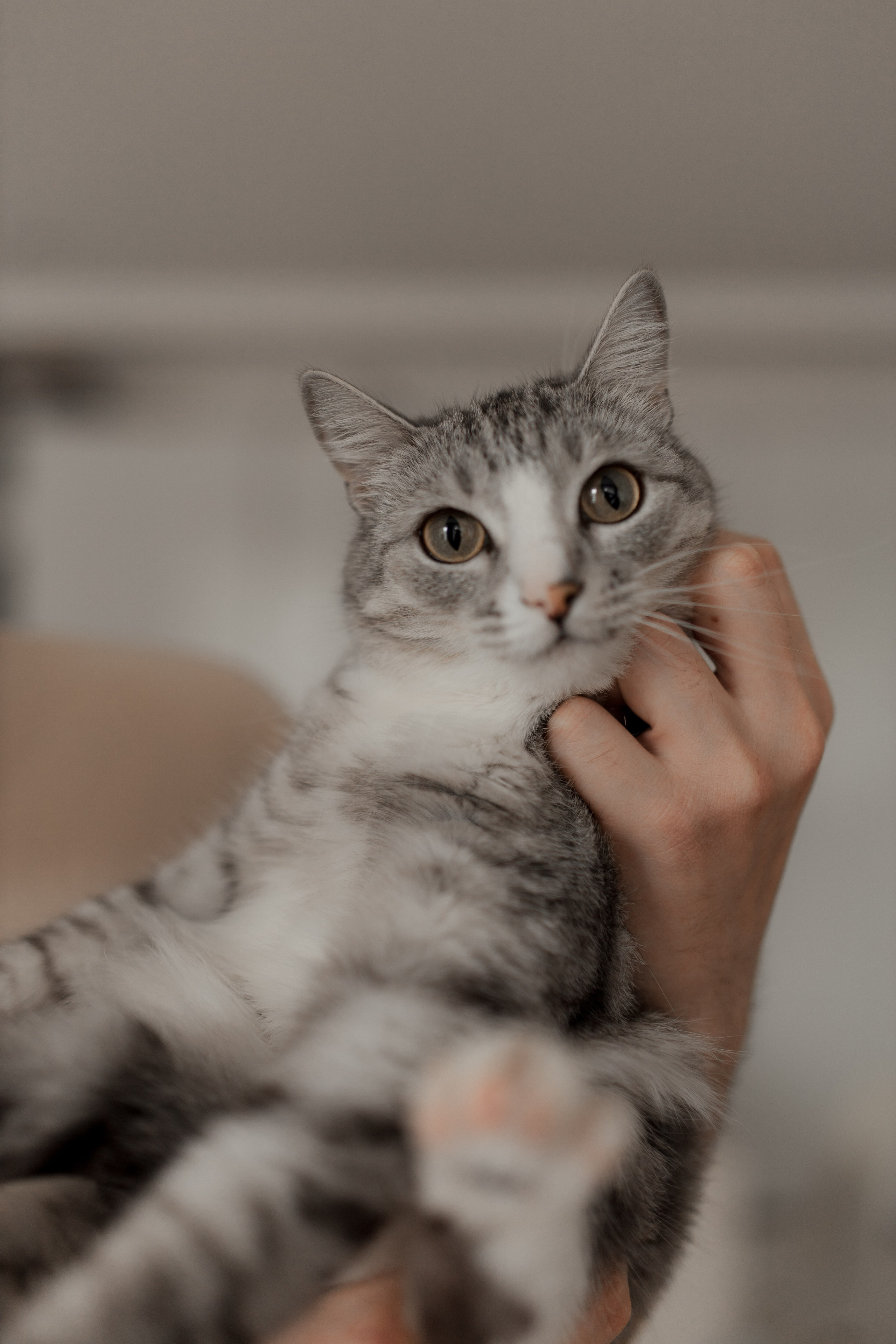 Добро пожаловать!. Женский и свадебный фотограф Москва Елизавета Перова