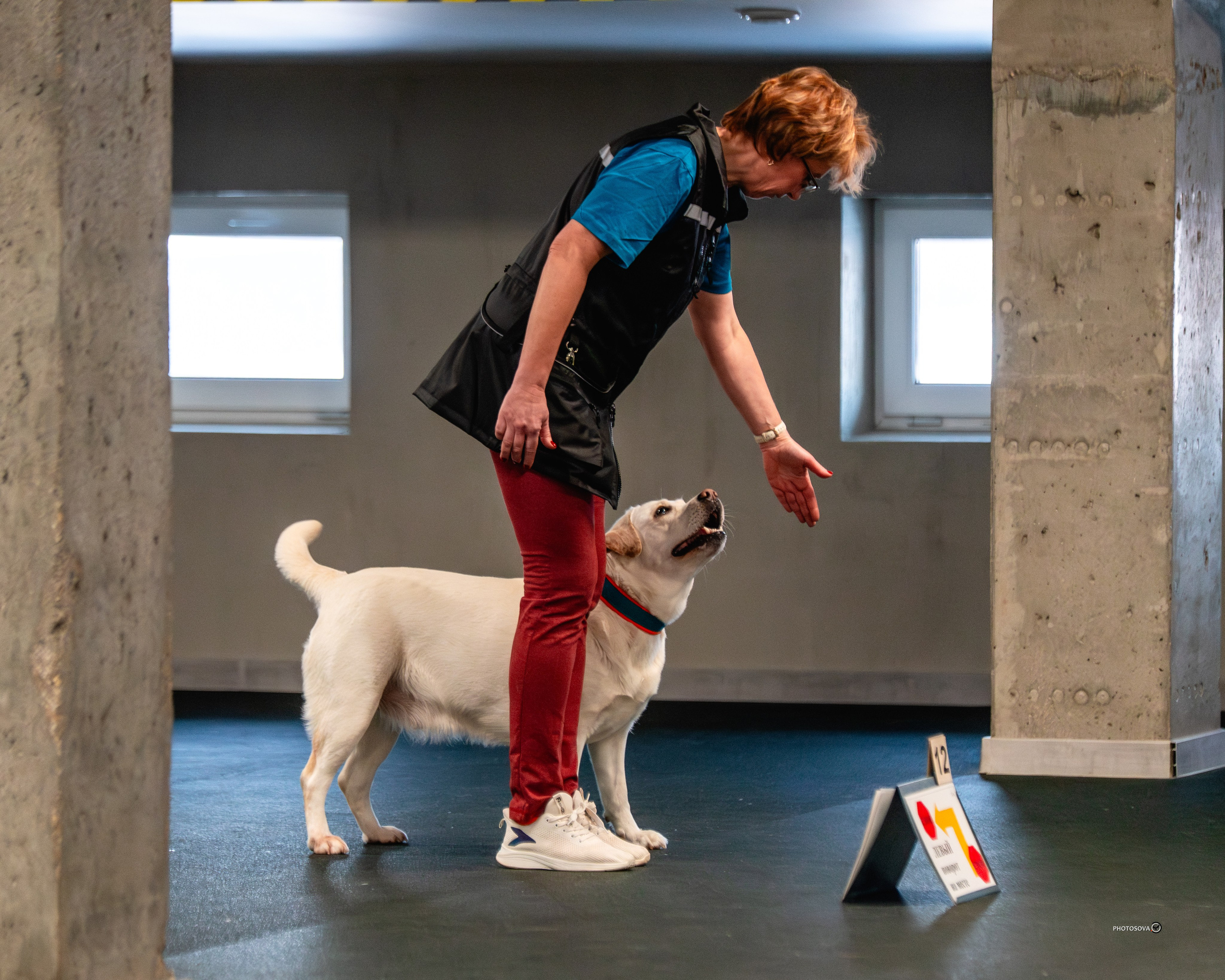 ТЫ И Я (соревнования по ралли-обидиенс). Фотограф-анималист, семейный фотограф в Москве и Подмосковье. Фотосъёмка кинологических дисциплин