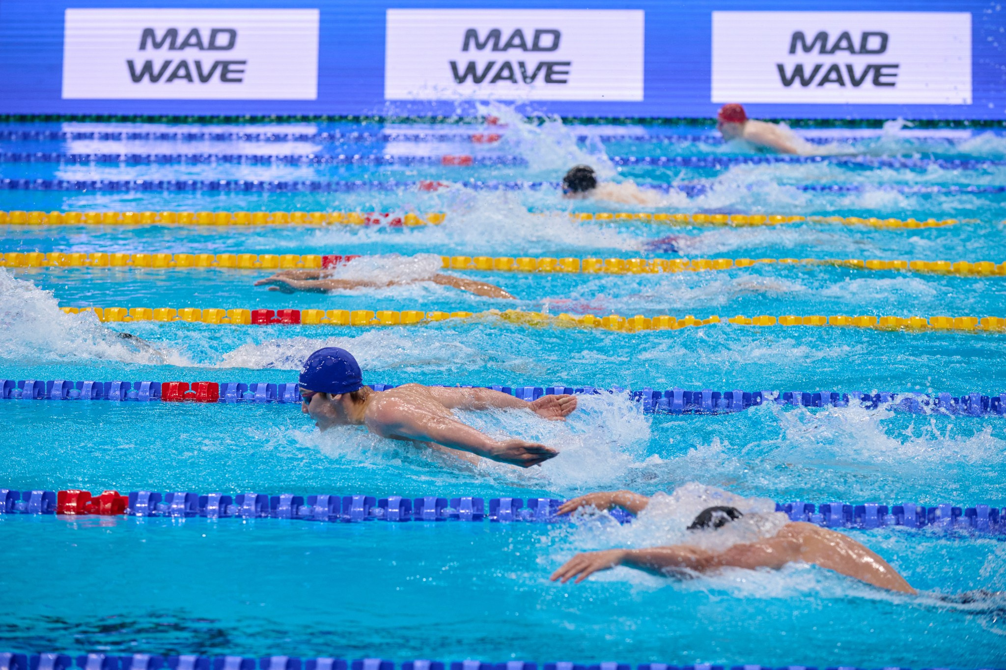 Кубок России по плаванию 2024 г. Екатеринбург. Мезенцев Евгений фотограф