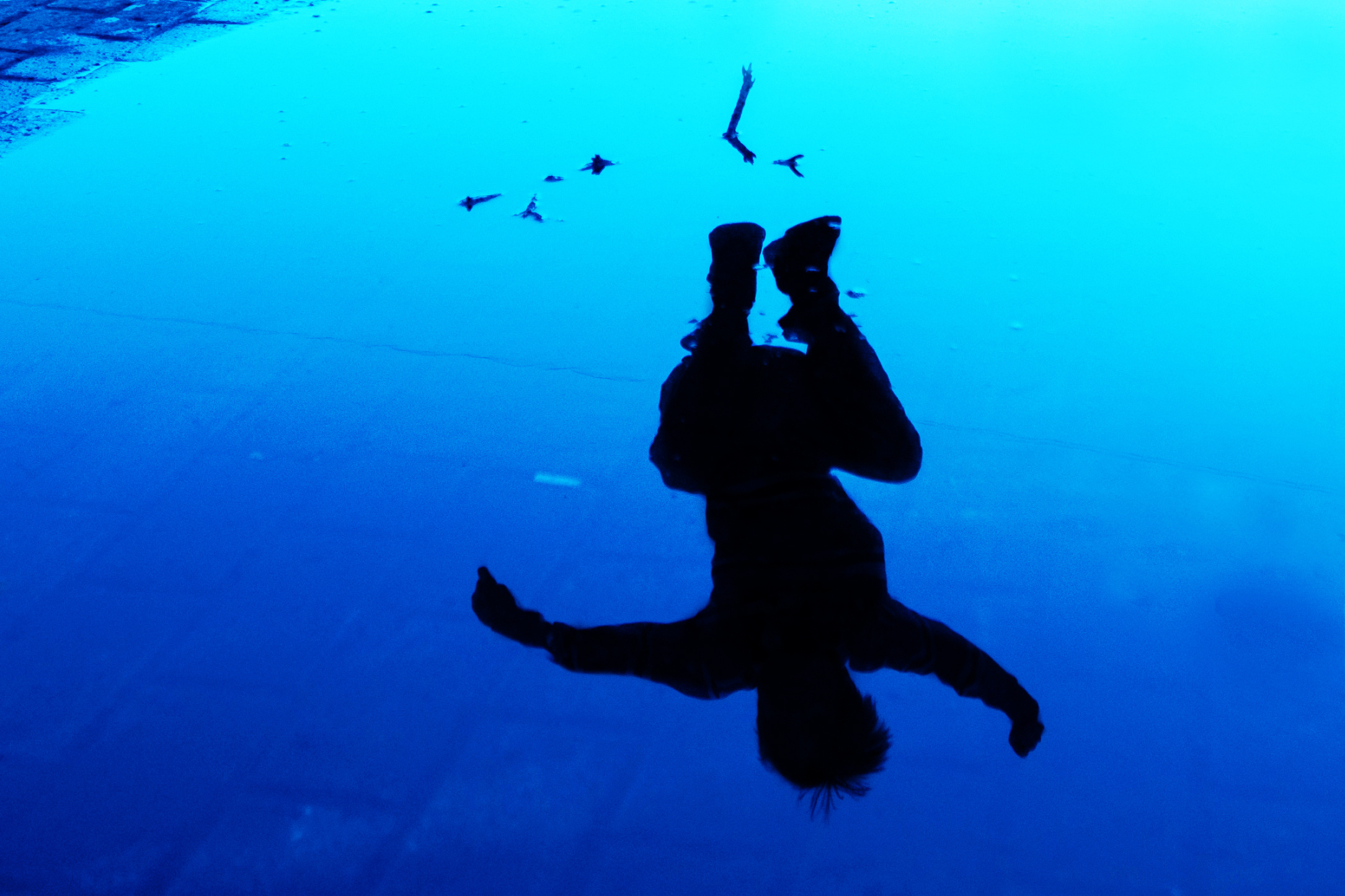 Фотограф Алла Елисеева