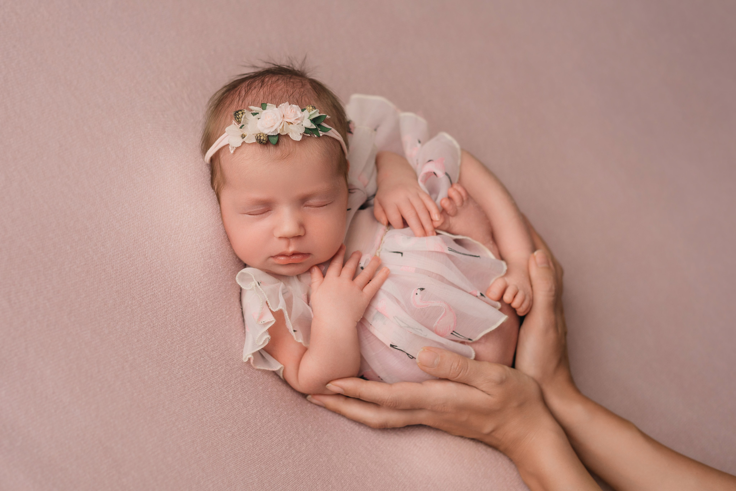 Амелия. Фотограф новорожденных Белгород