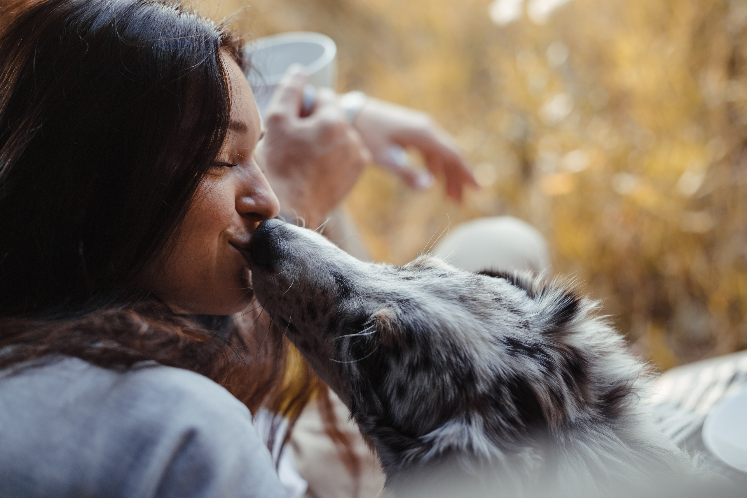 Mike. PHOTOGRAPHER romanoff-egor