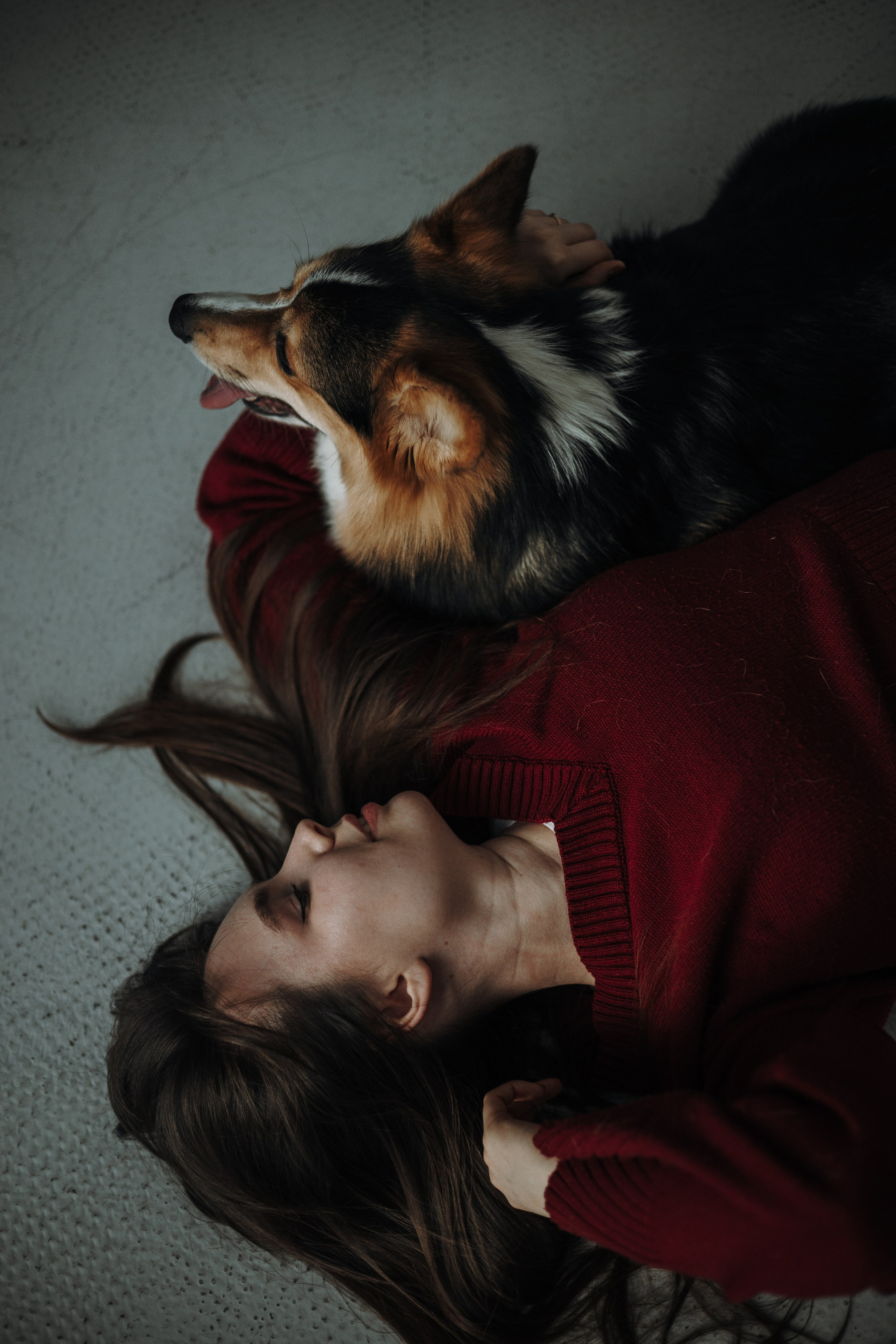 Анастасия и Коржик. Фотограф животных Евгения Верцинская