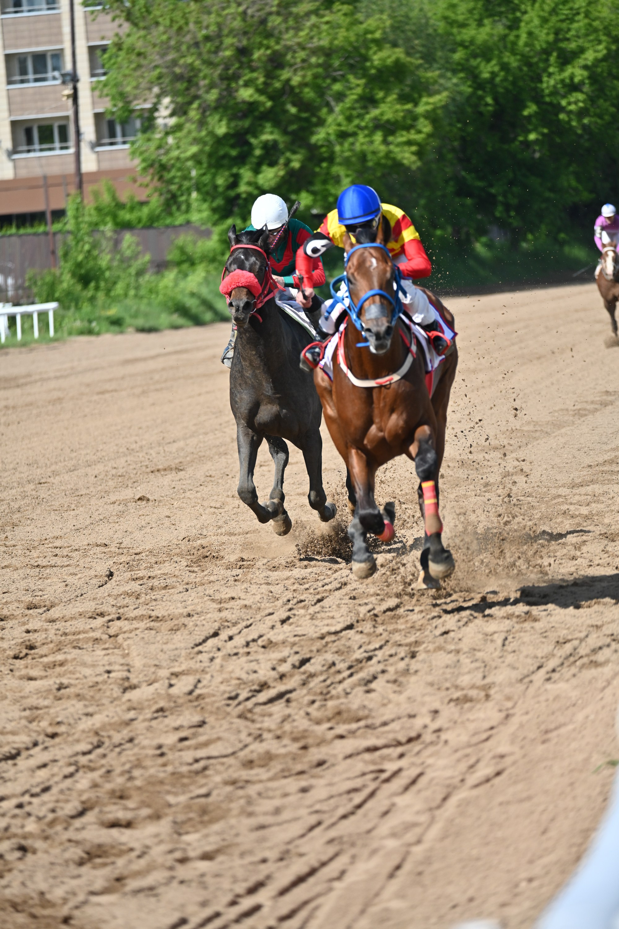 Московский ипподром. Fotolux