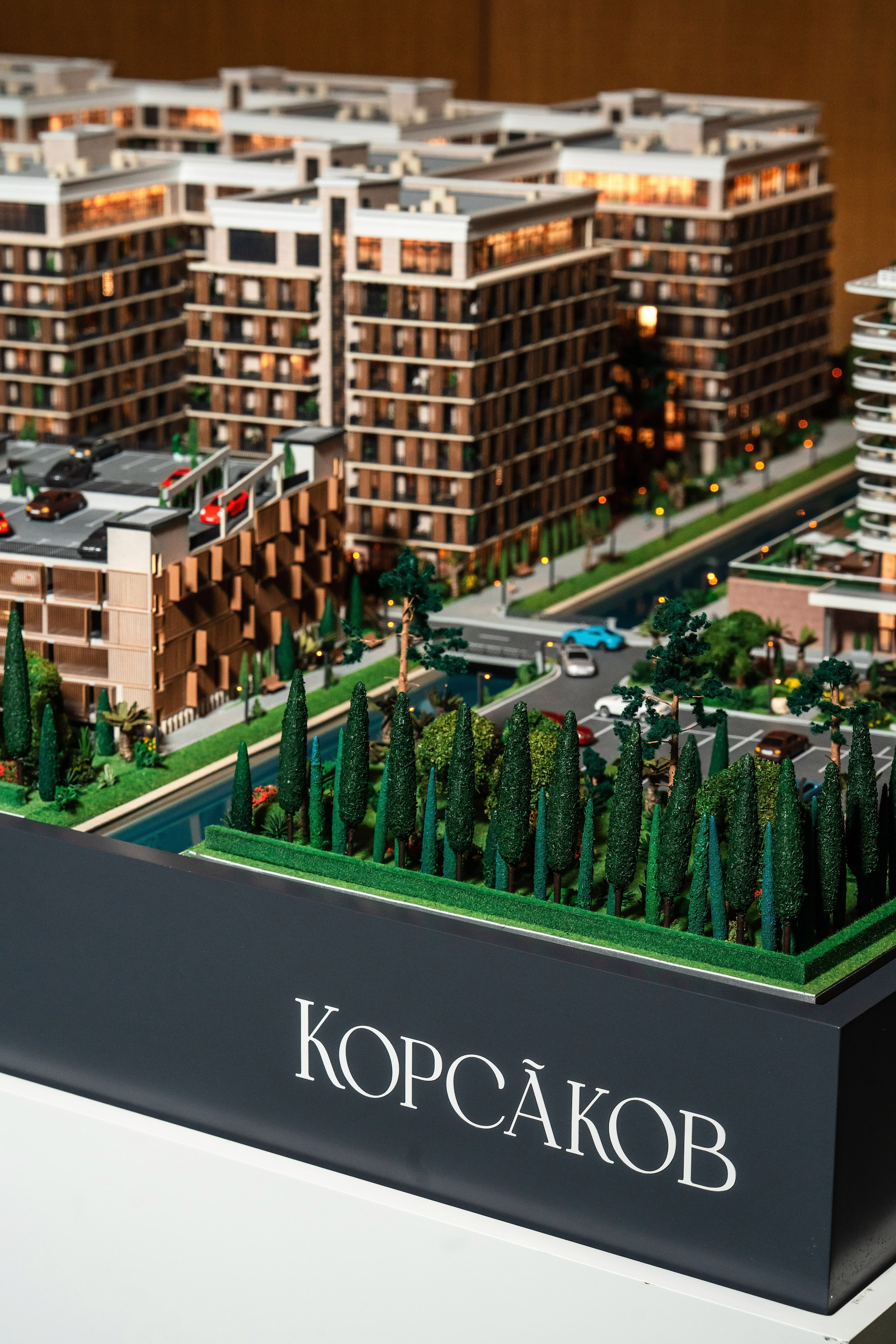 ССК. Фотограф Сочи