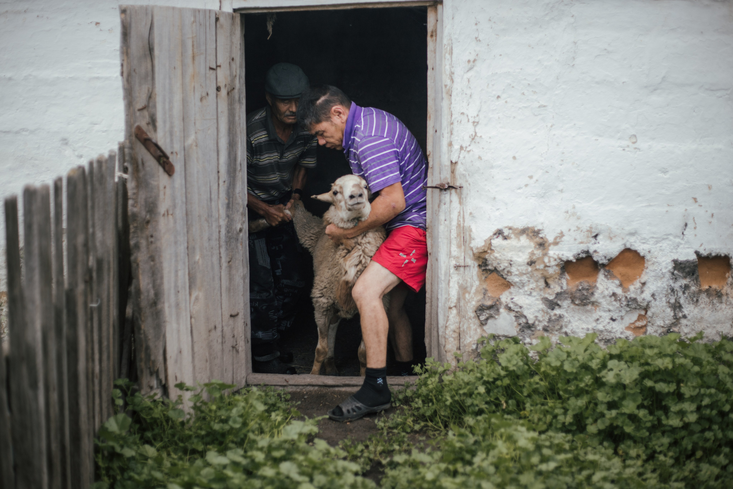 DOC. Photographer Alina Skitovich