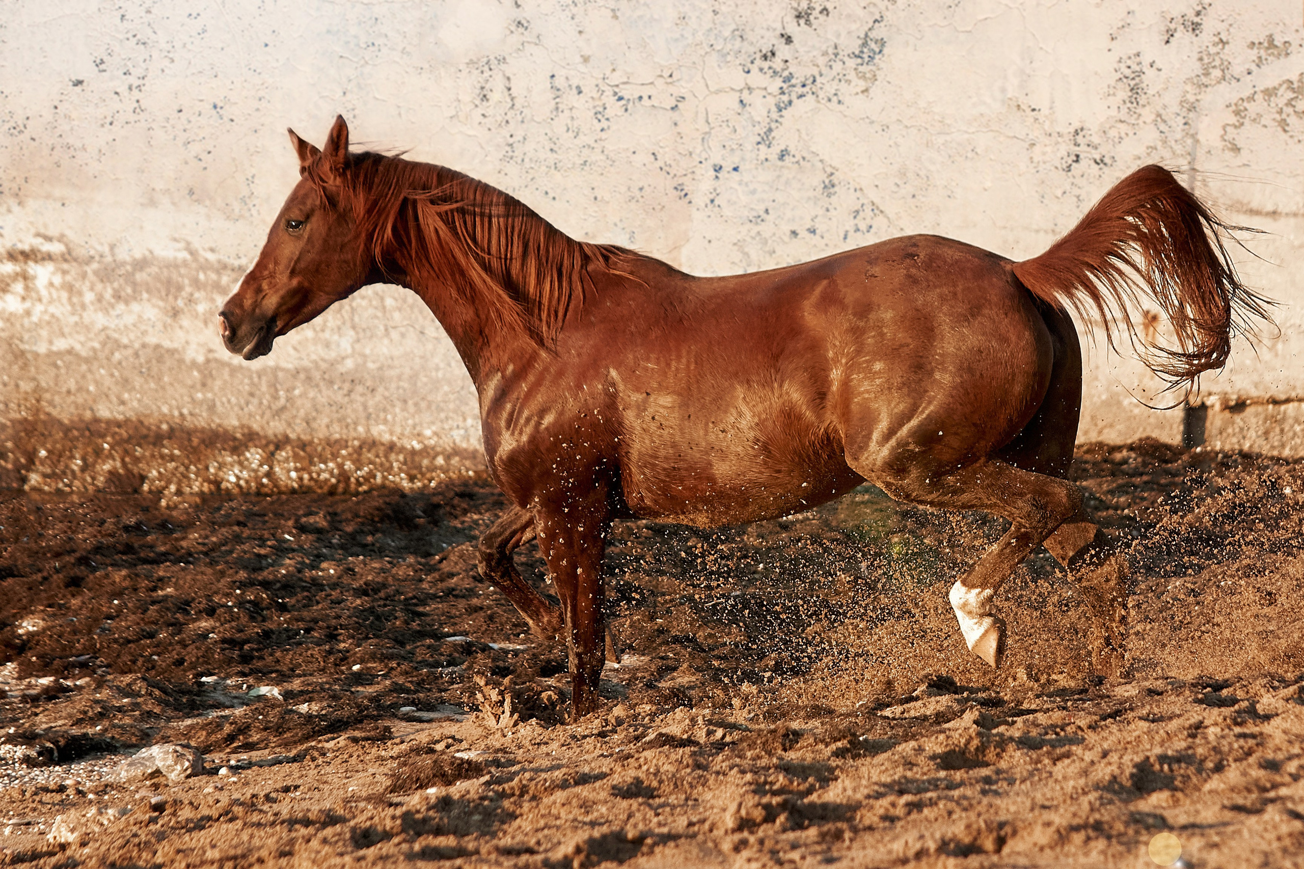 Галактика и Кассиопея. Фотограф в Севастополе