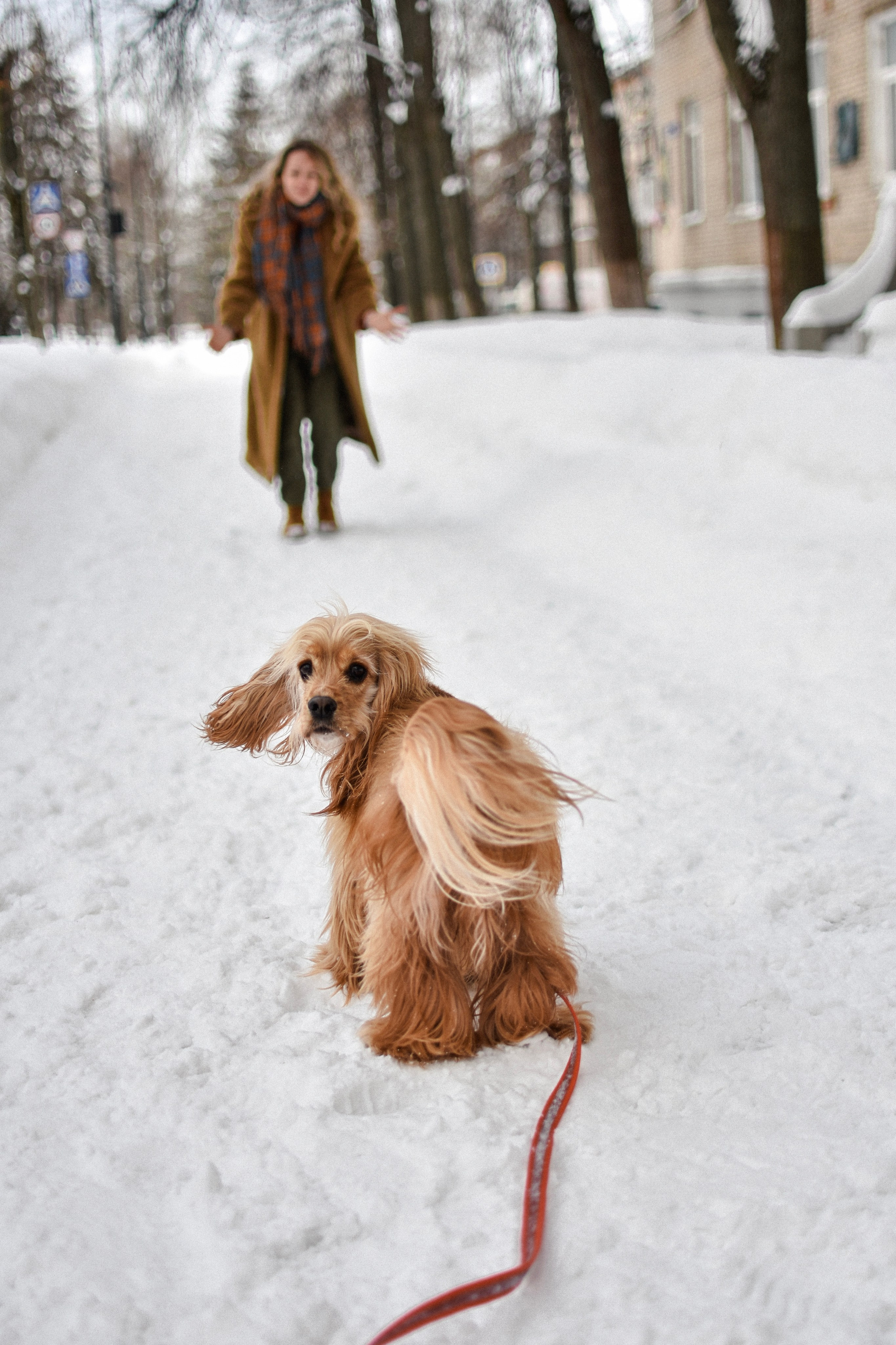 Мира и Даша. Фотограф-анималист Ксения Шевцова|Москва