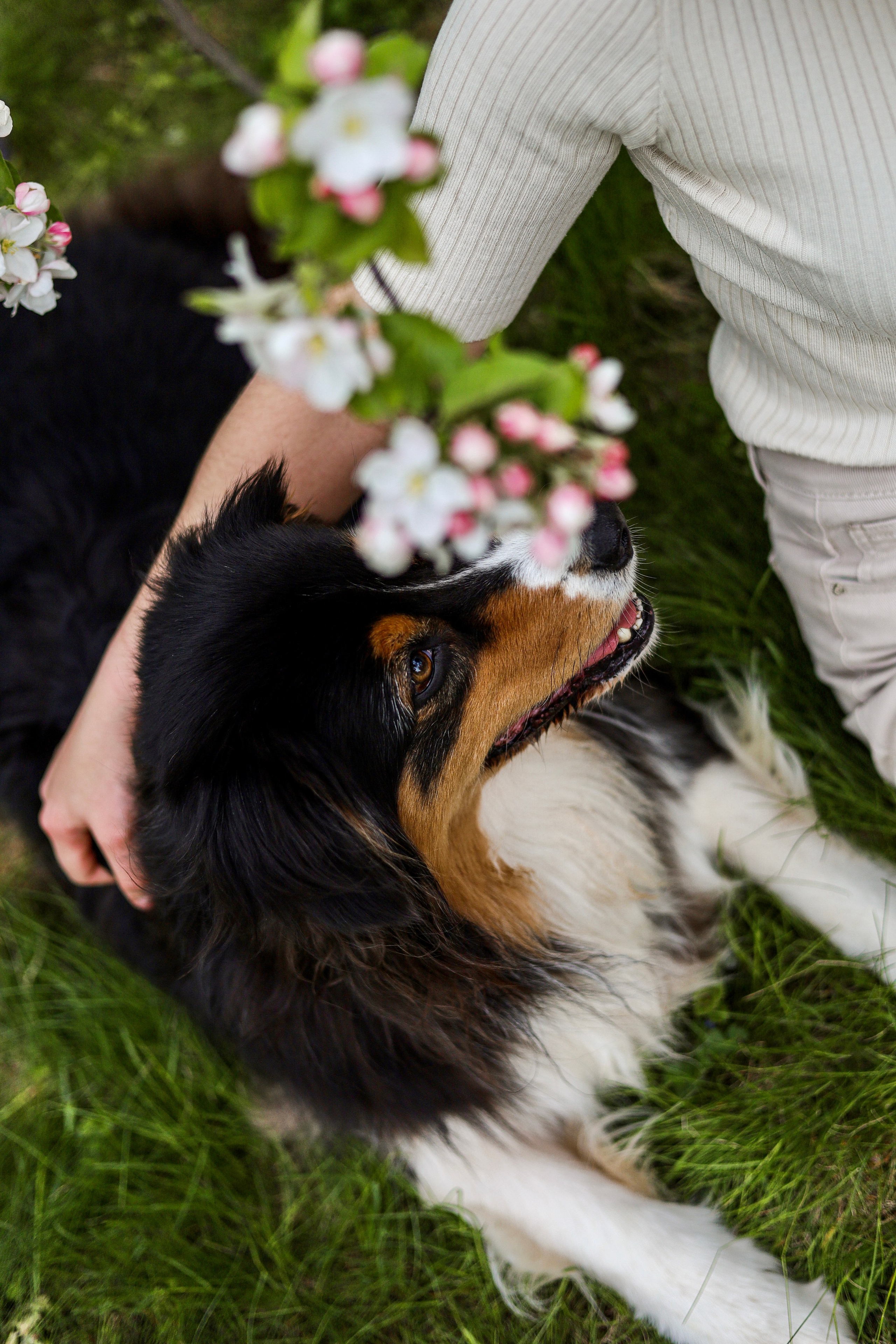 Келли и Света. Фотограф-анималист Ксения Шевцова|Москва