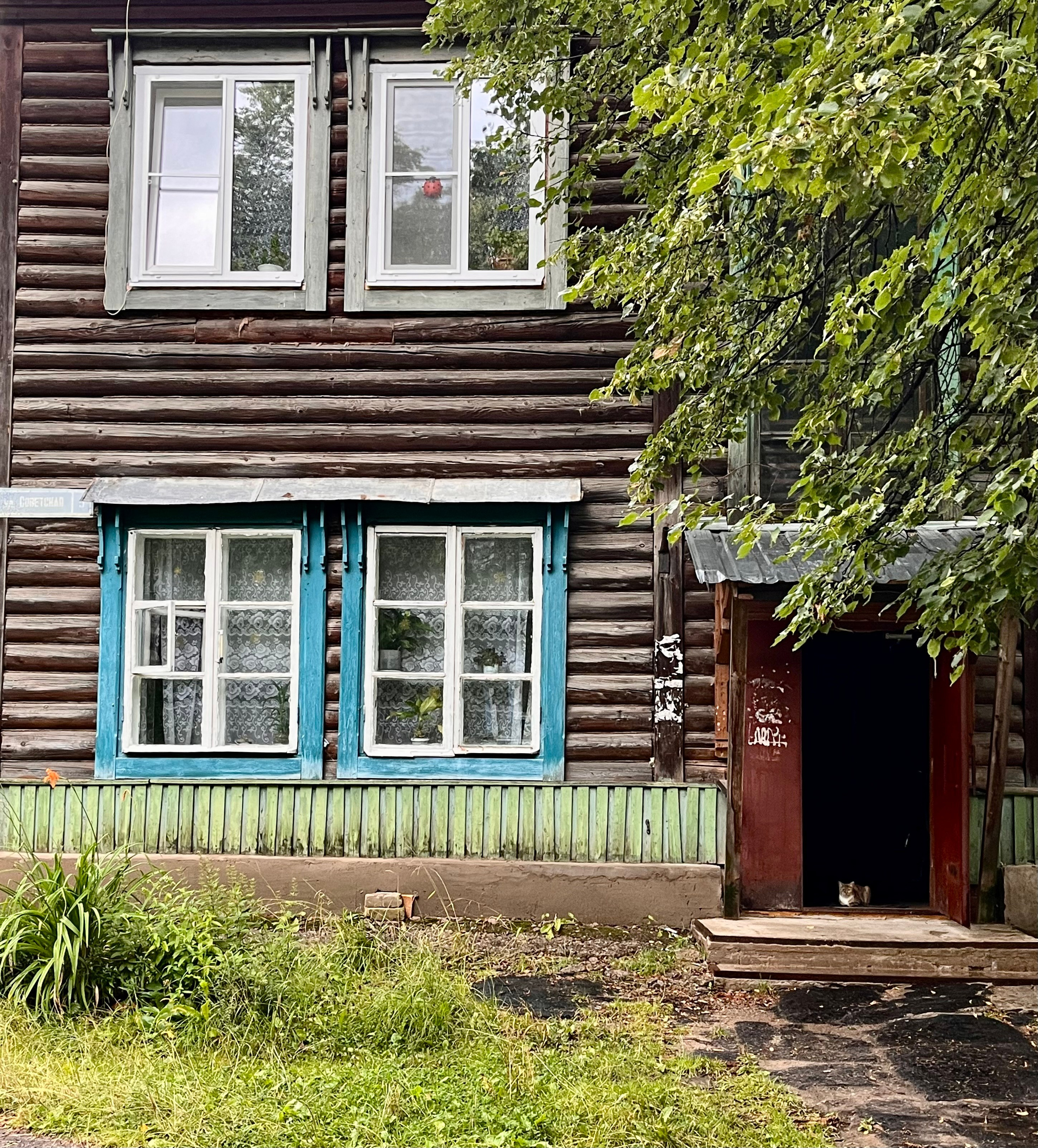 Ярославль, 2022. Портретный фотограф в Москве Евгения Яковенко