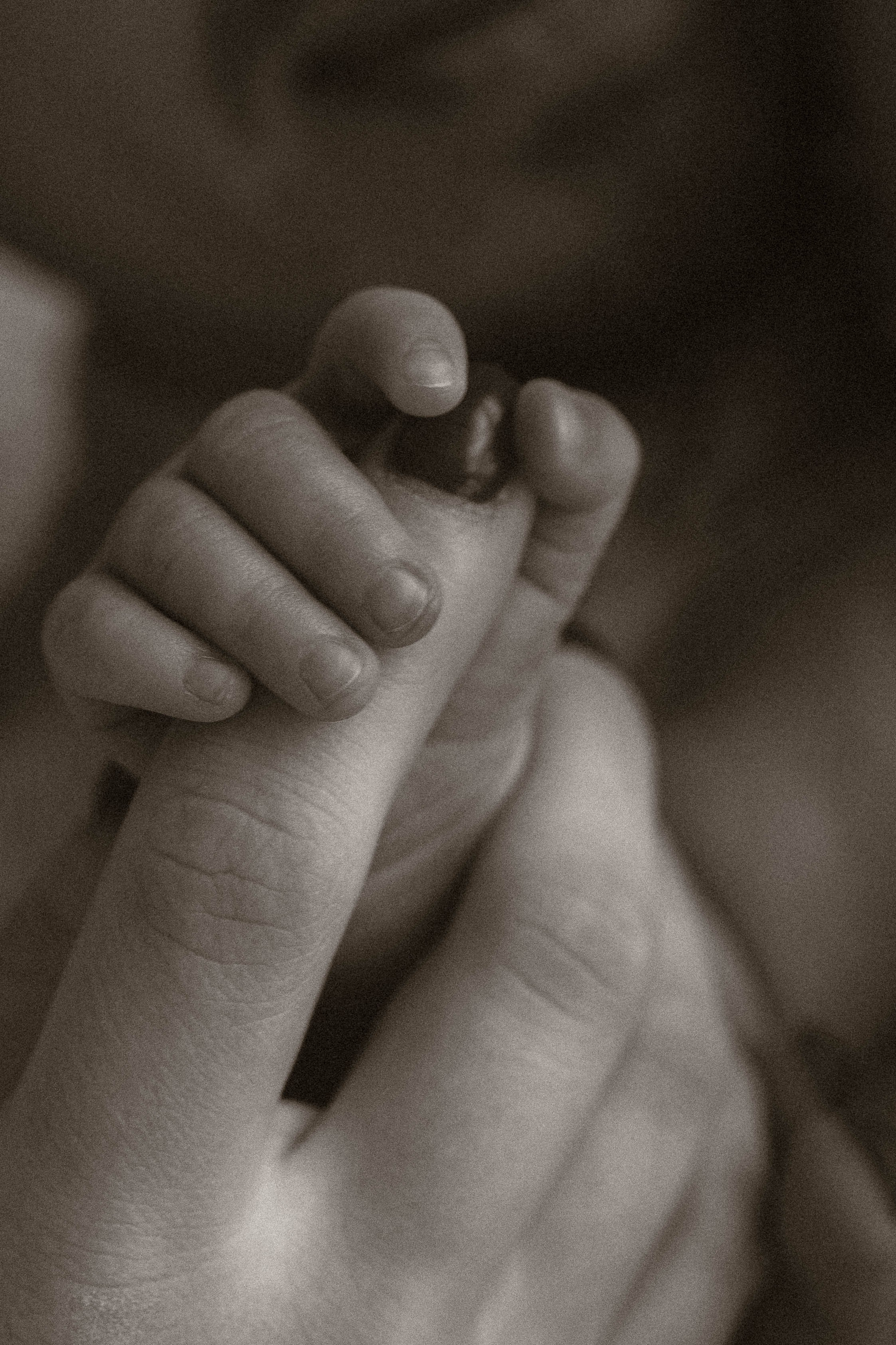 Диана, Миша и Ассоль. Семейный фотограф Юлия Котова