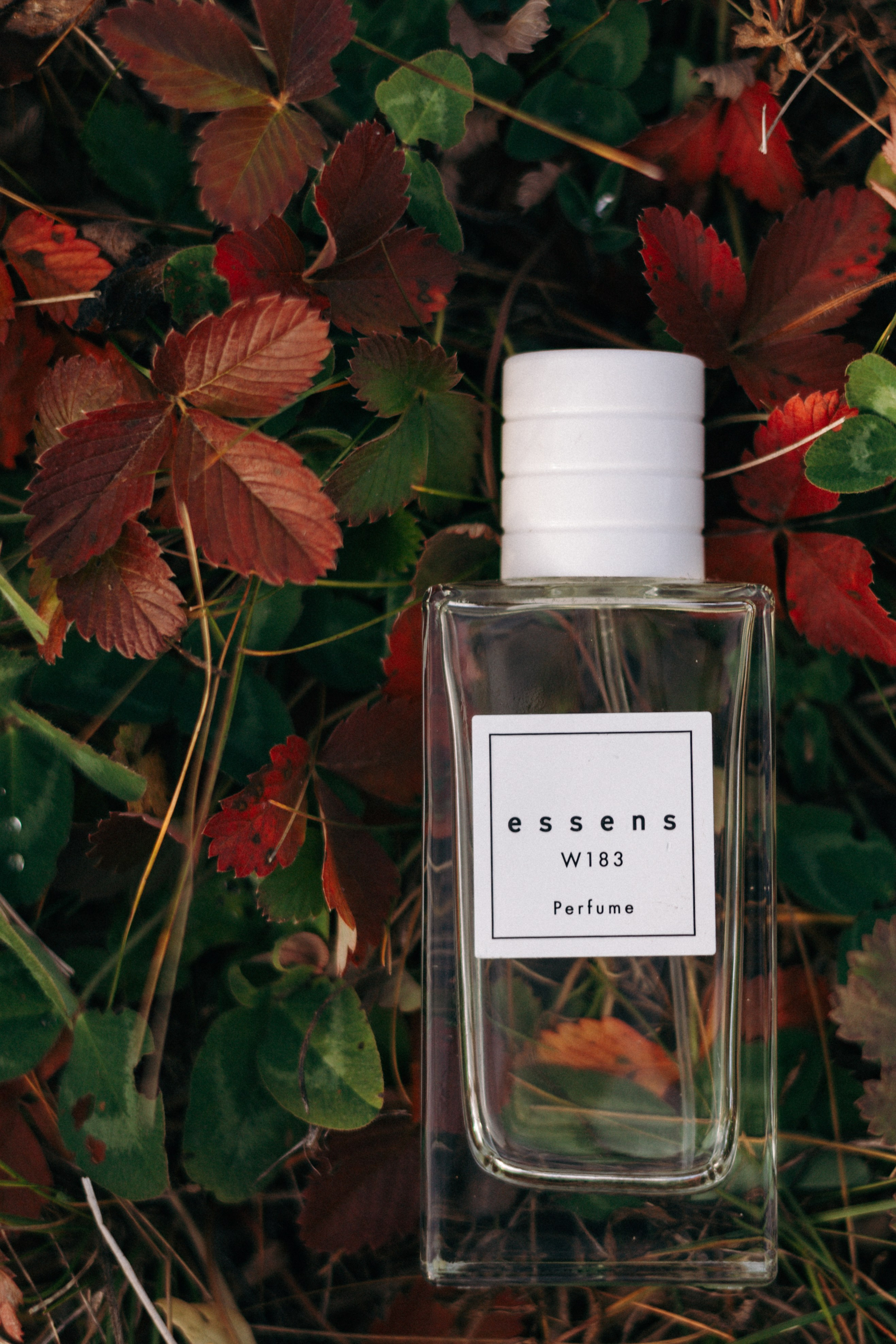 Кейс аромастилист. Ваш фотограф