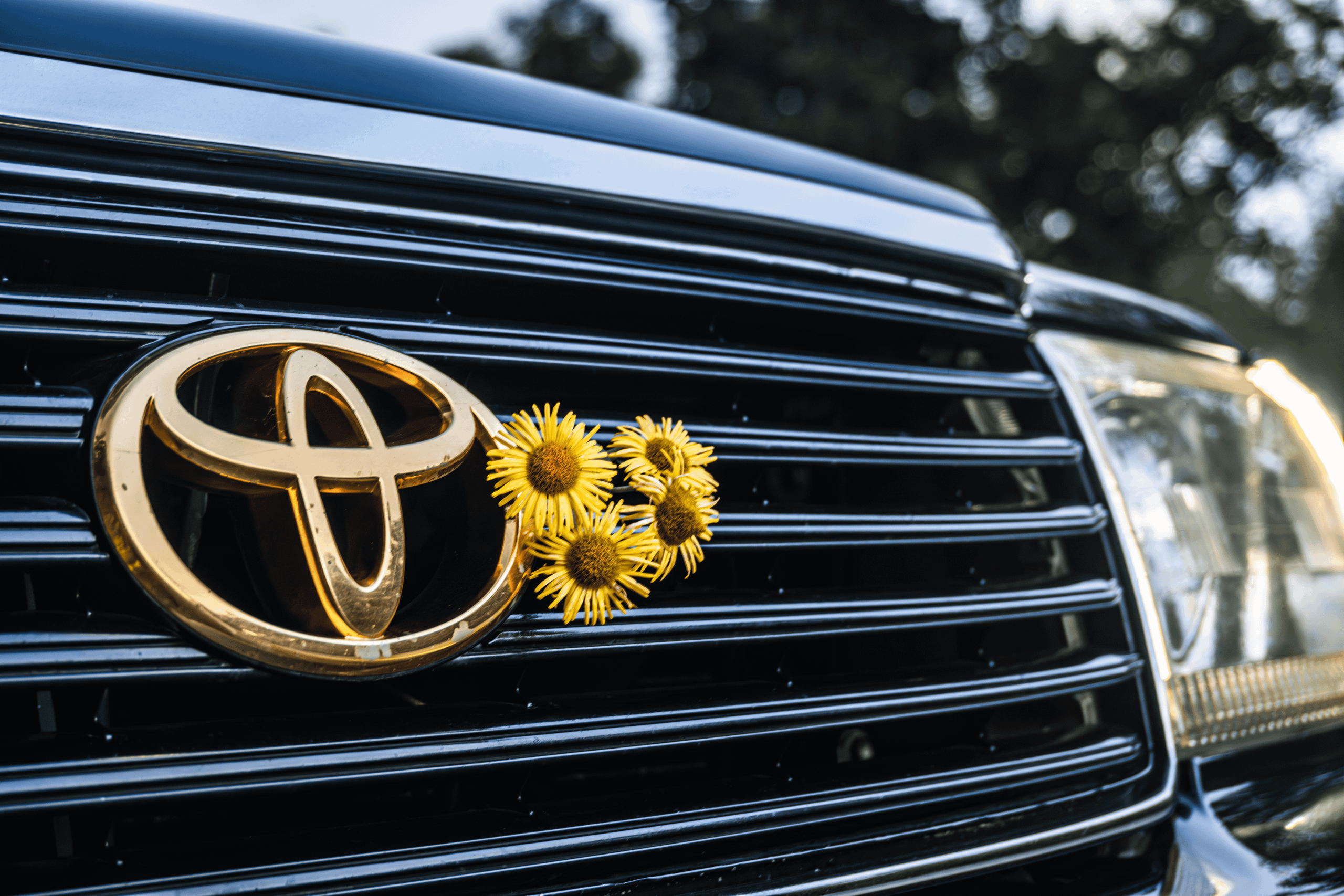 Toyota Crown S155: бриллиант в стенс-короне Владивостока